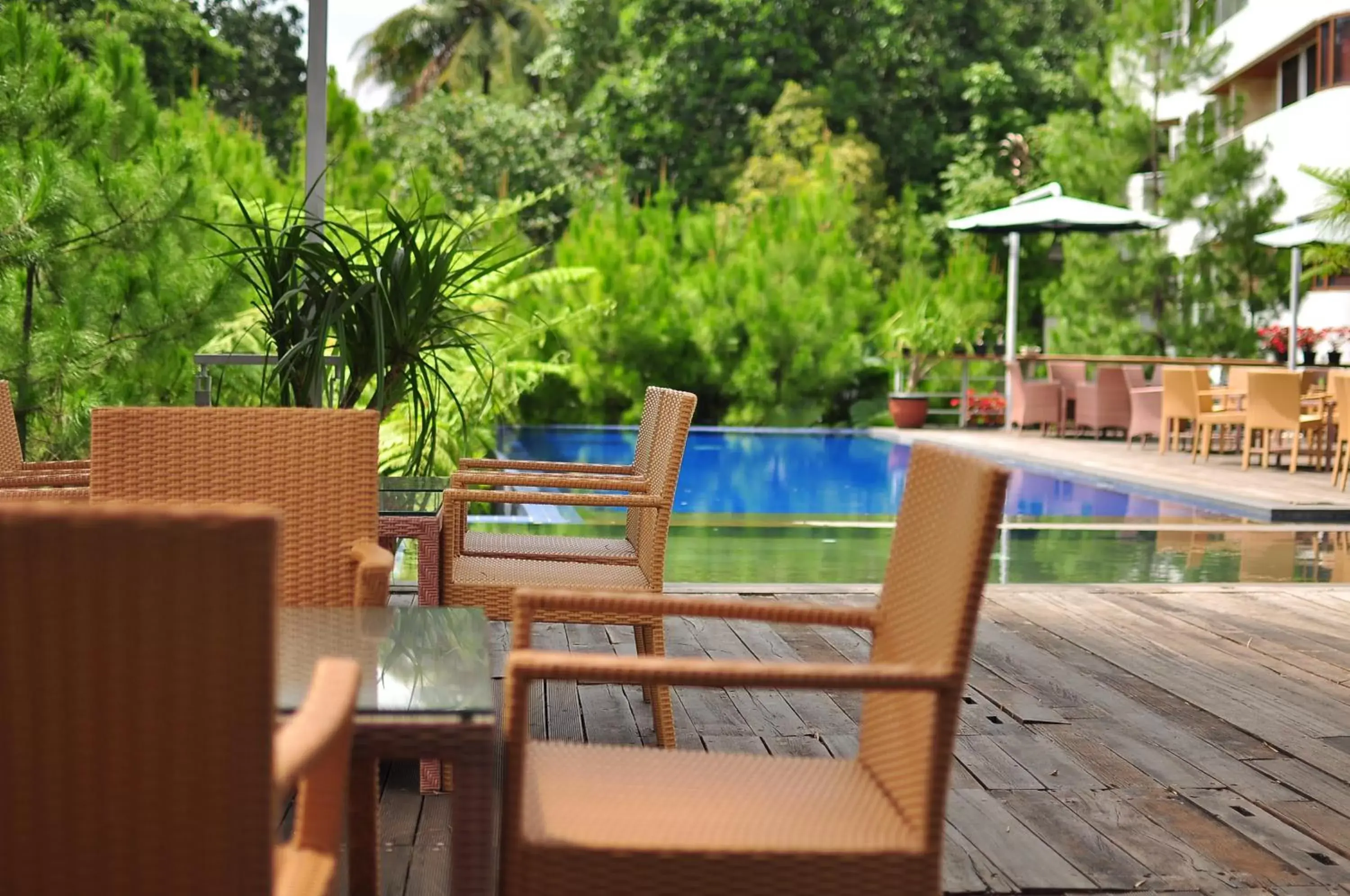 Swimming Pool in House Sangkuriang