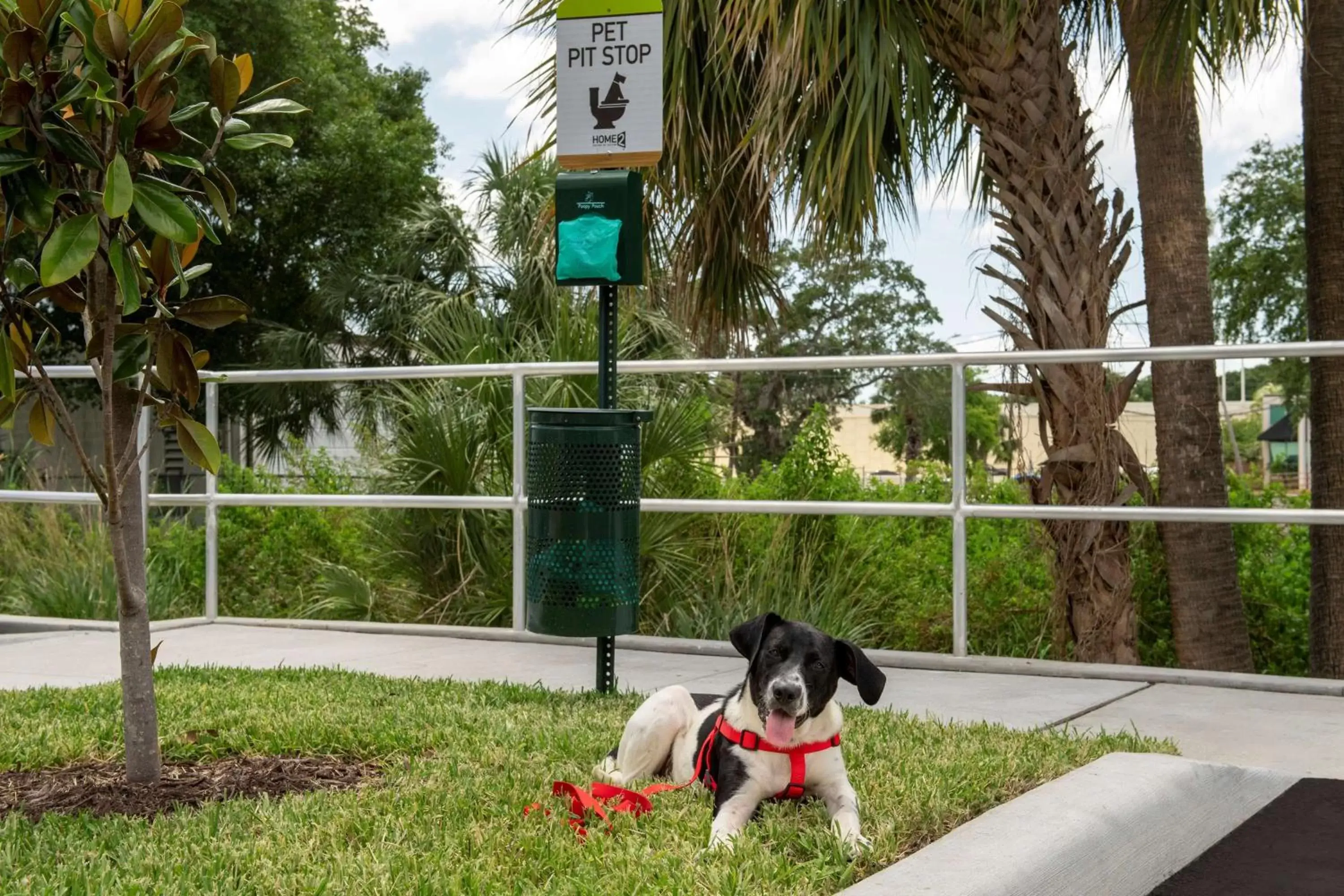 Property building, Pets in Home2 Suites By Hilton Tampa Westshore Airport, Fl
