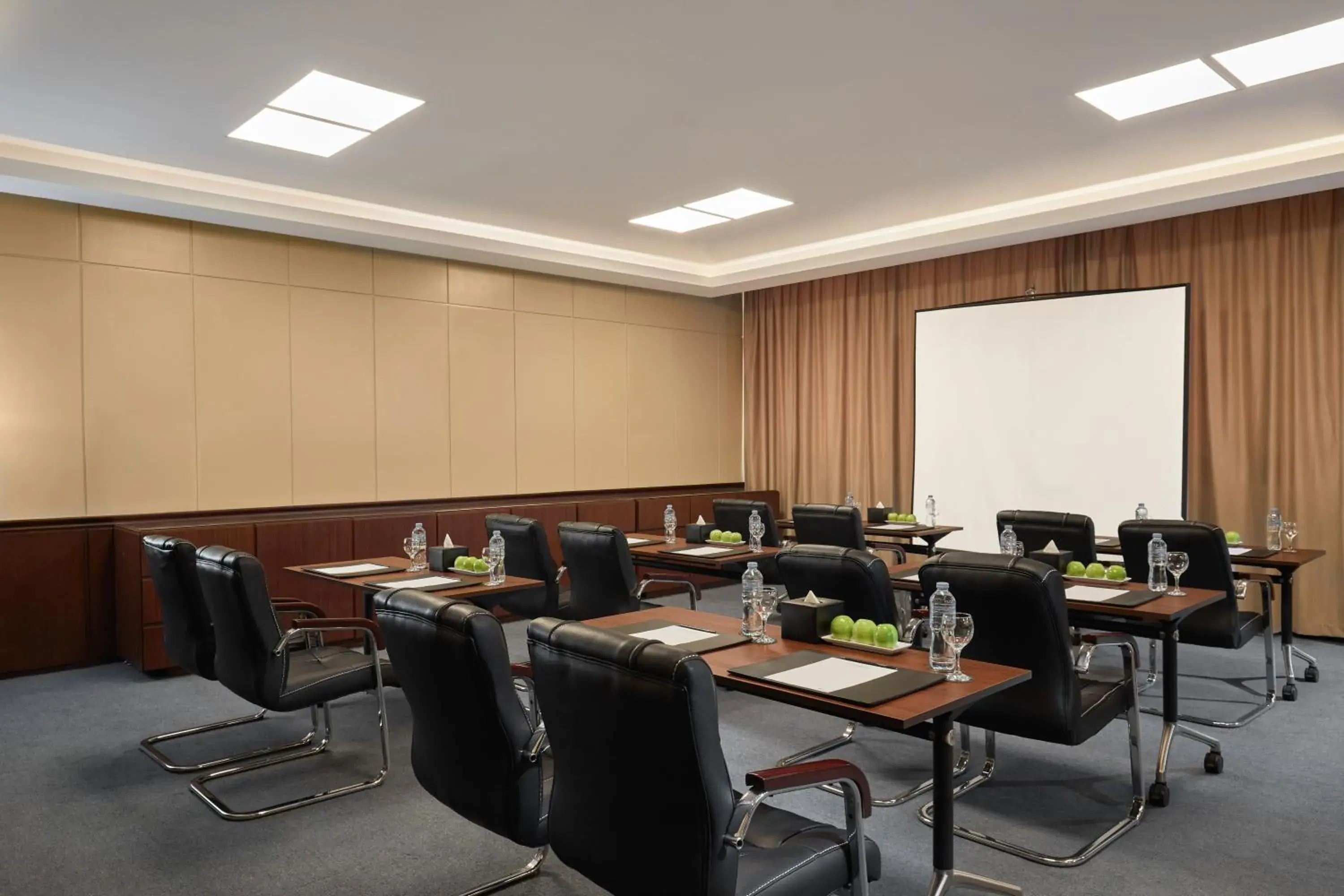 Business facilities, Business Area/Conference Room in Steigenberger Resort Achti