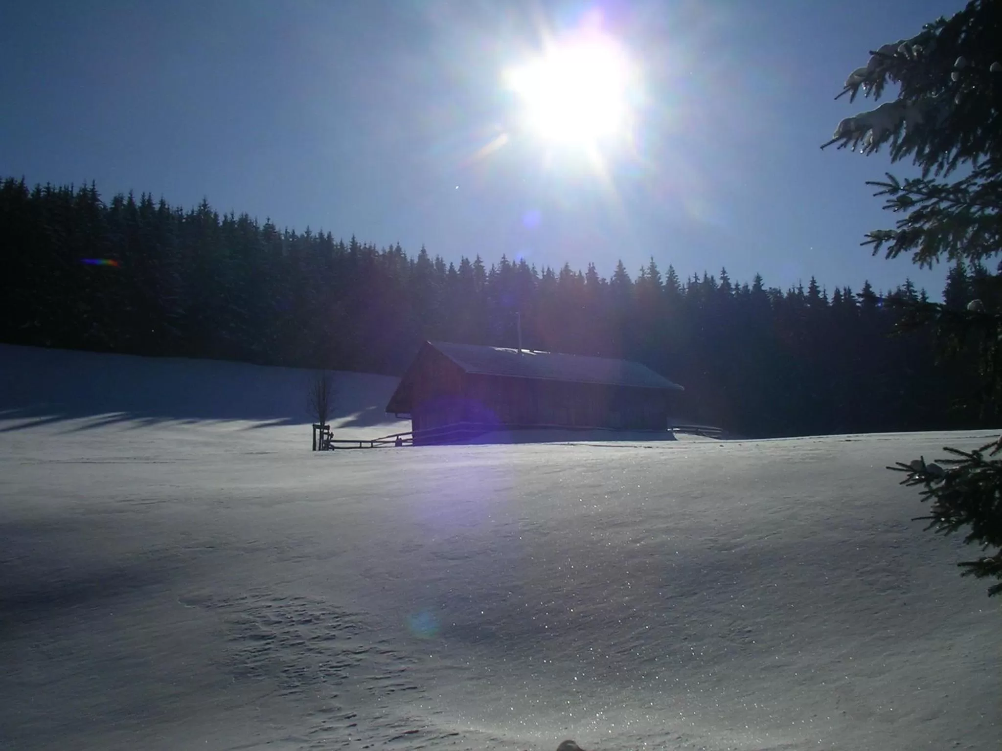 Off site in Das Allgäu