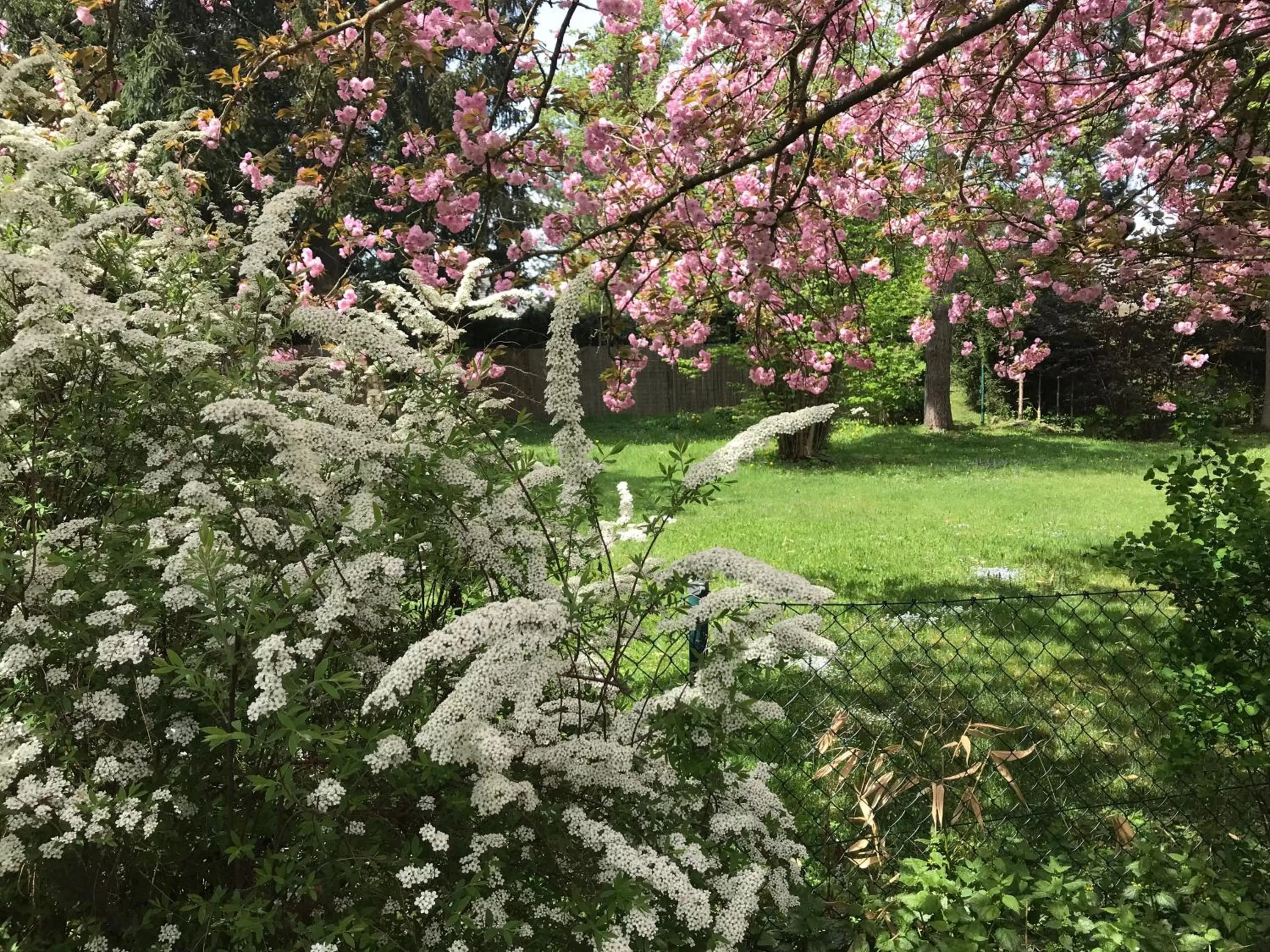 Garden in Bed and Breakfast Bavaria München