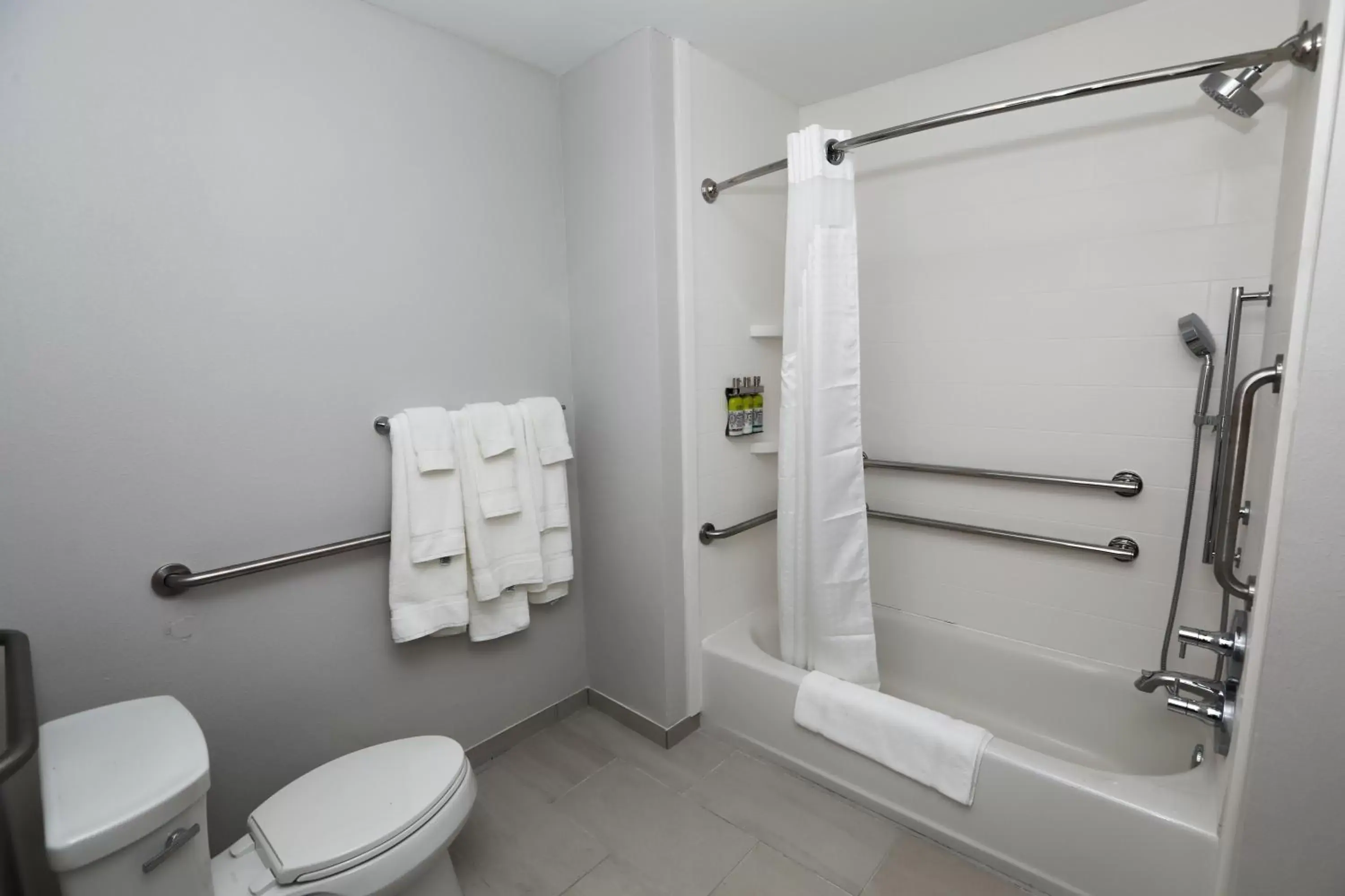 Toilet, Bathroom in Holiday Inn Express Hillsboro I-35, an IHG Hotel