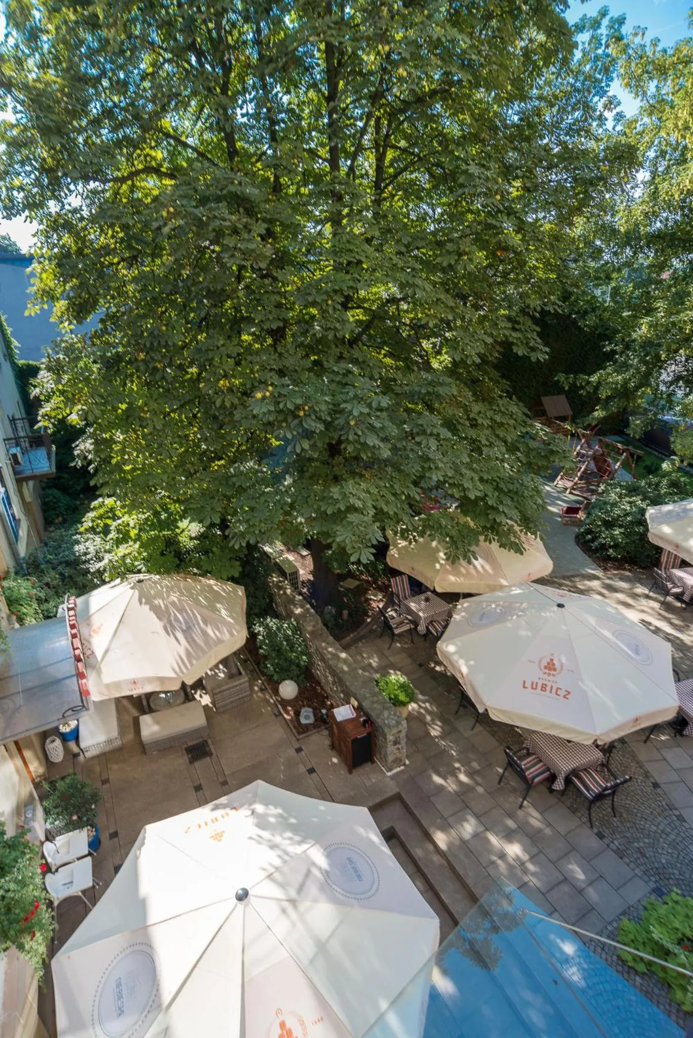 Restaurant/places to eat in Blue Swan