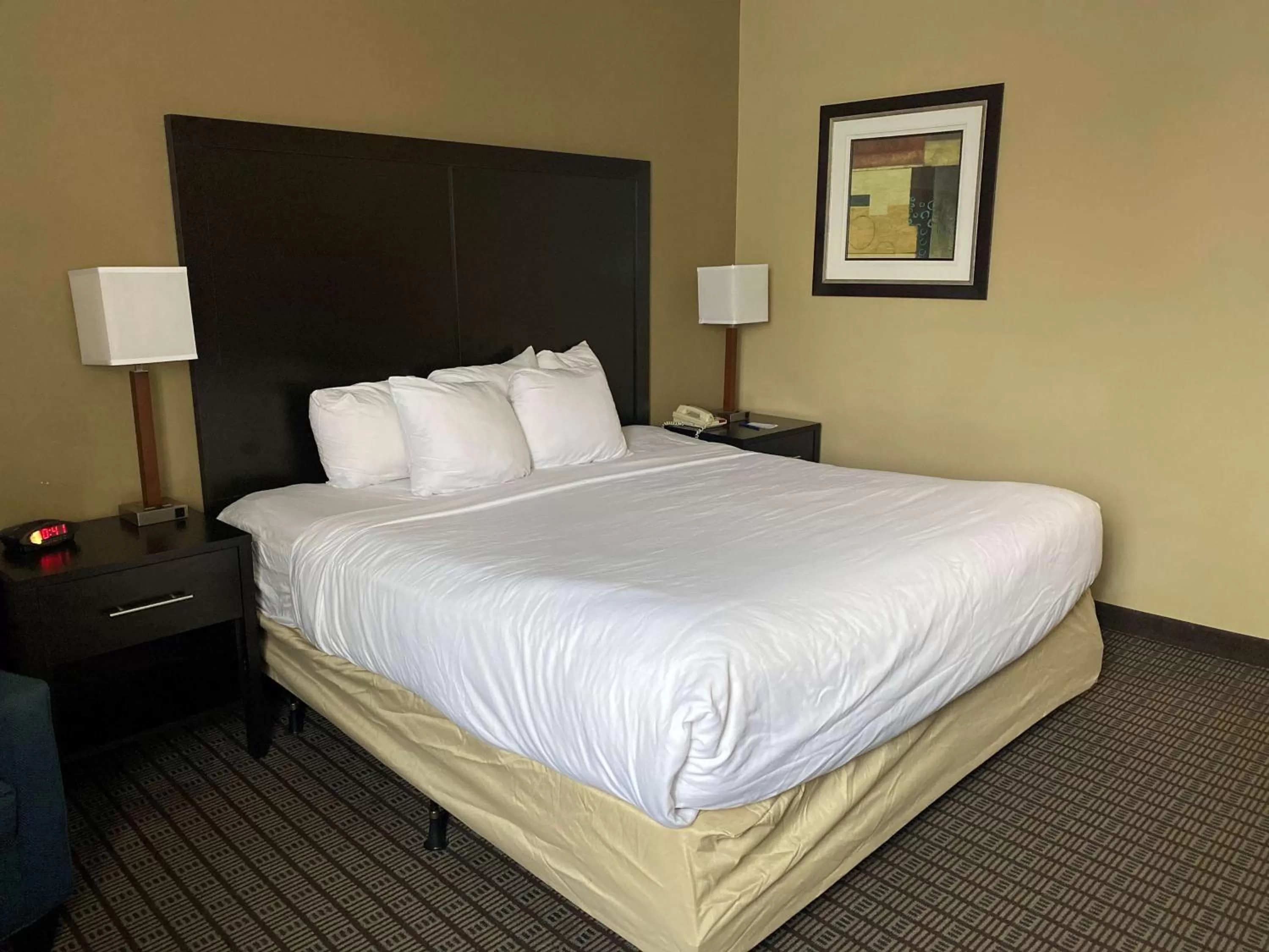 Bedroom, Bed in SureStay Plus by Best Western Jonestown Lebanon Valley