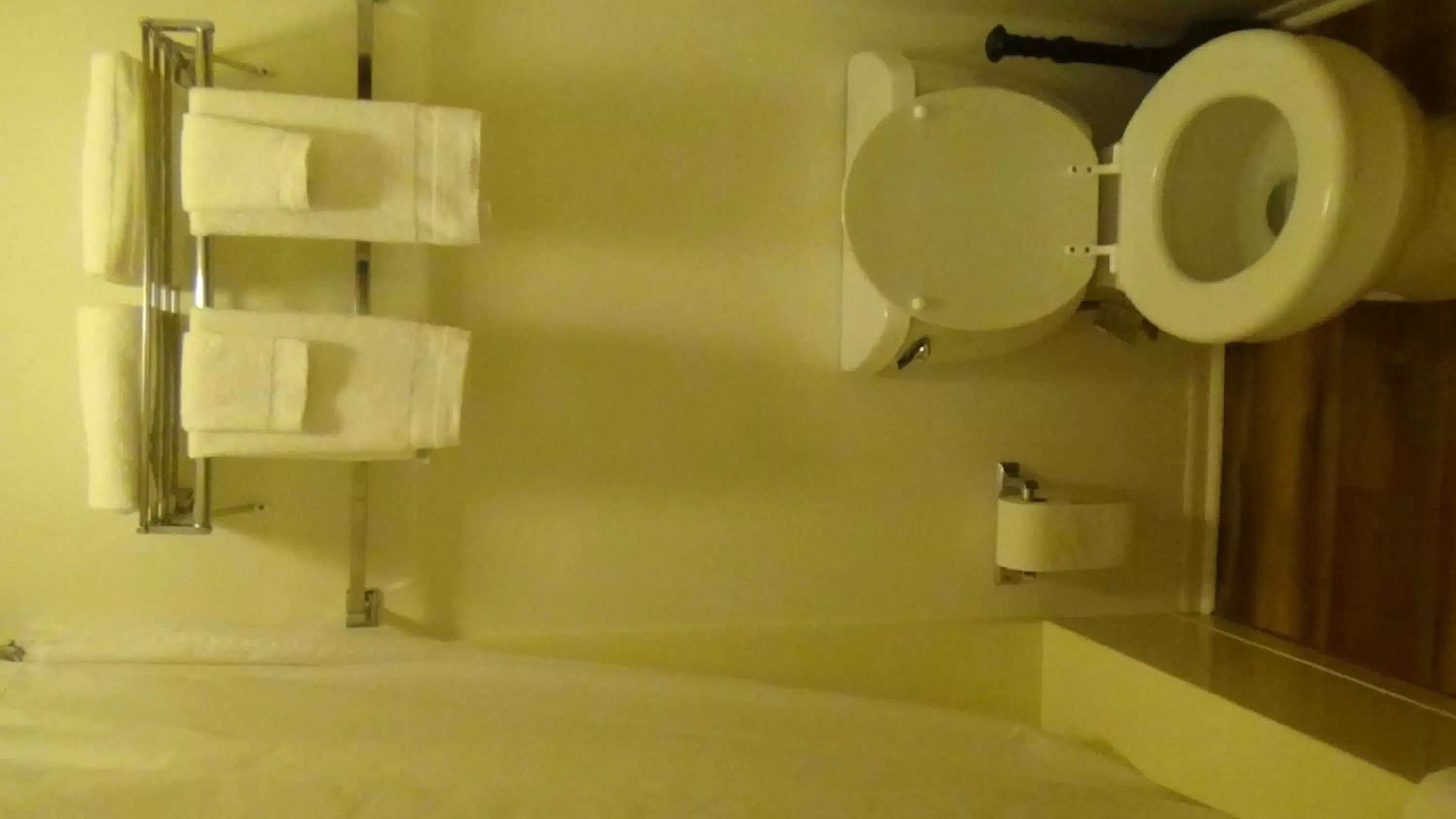 Bathroom in Roseloe Motel