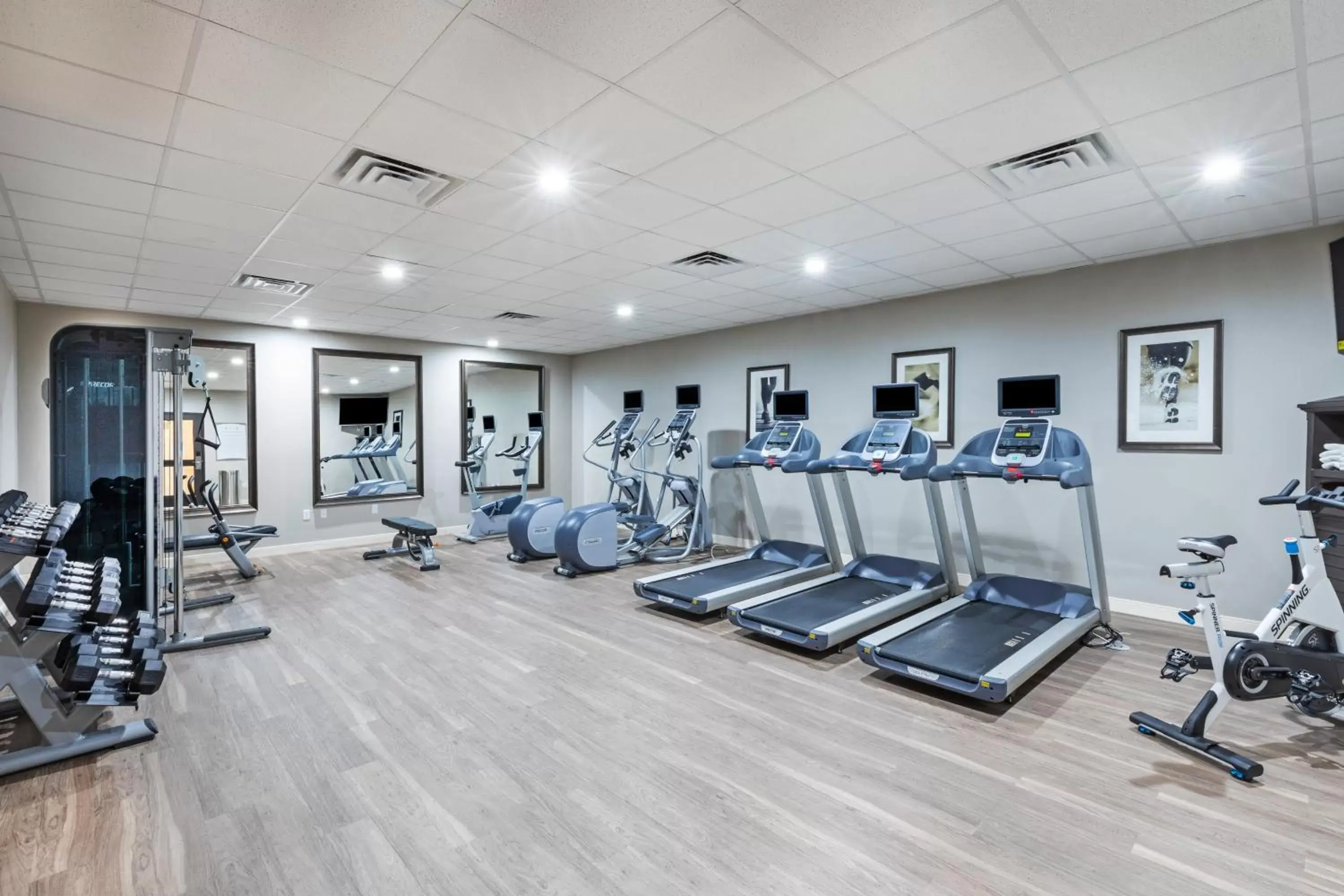 Fitness centre/facilities, Fitness Center/Facilities in Staybridge Suites - Houston IAH Airport East, an IHG Hotel