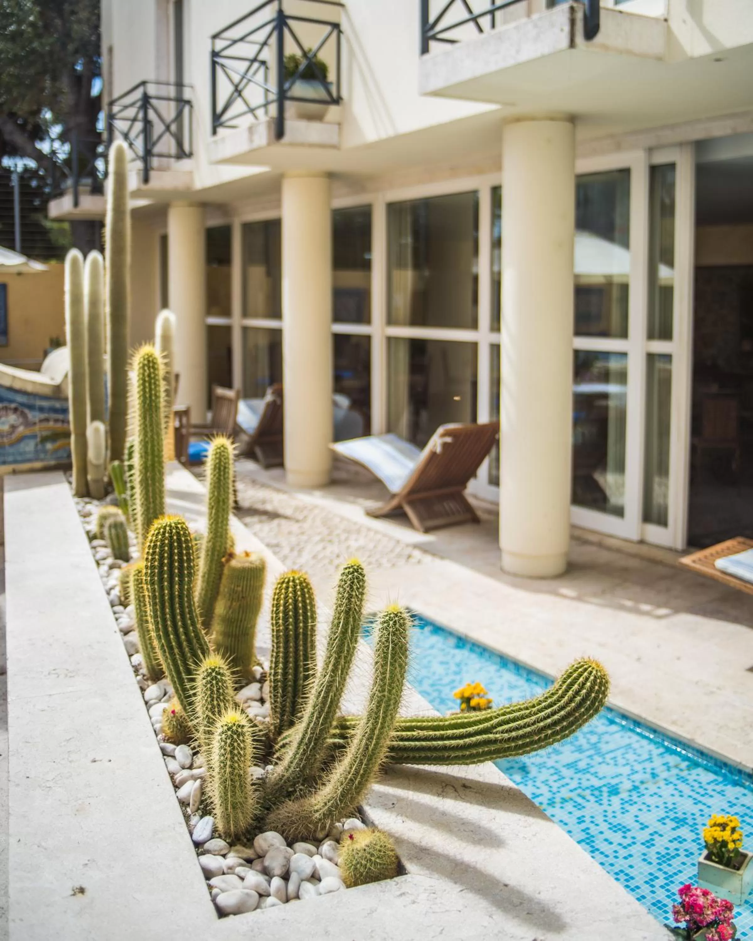 Patio in Solar do Castelo - Lisbon Heritage Collection - Alfama