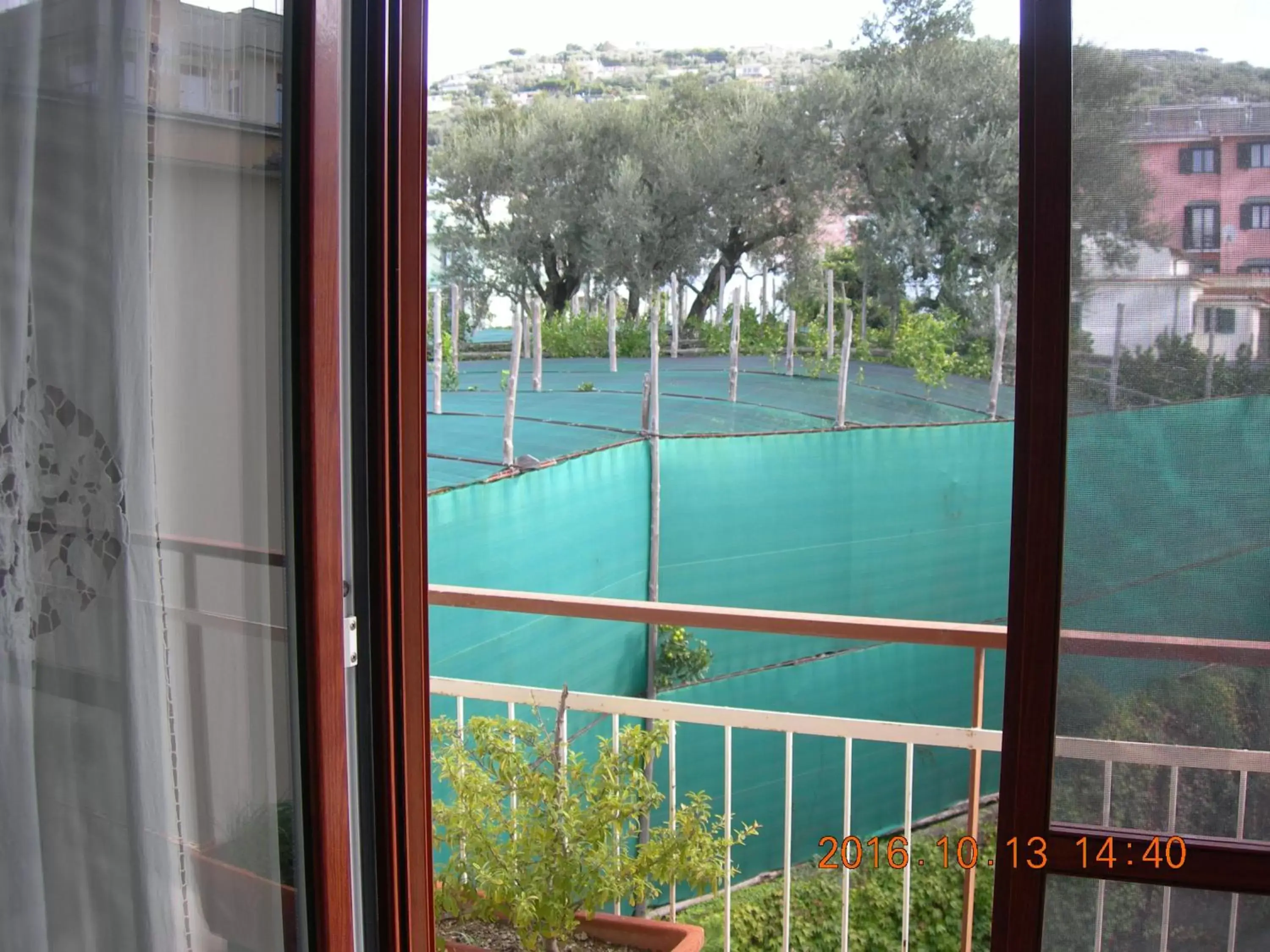 Garden view in Soggiornisorrento