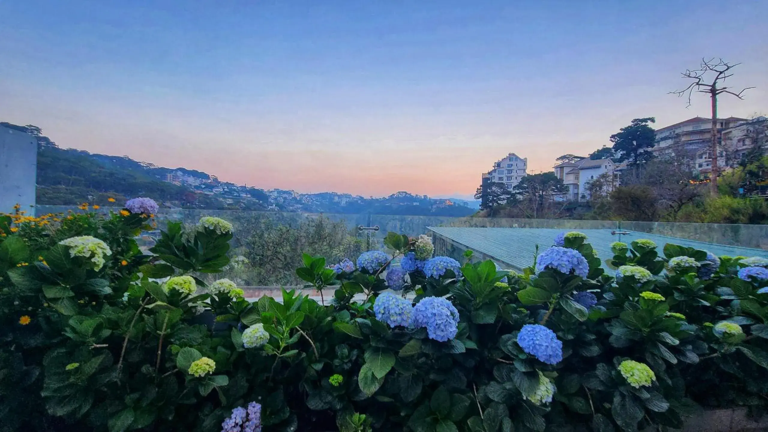 The Luxe Hotel Da Lat