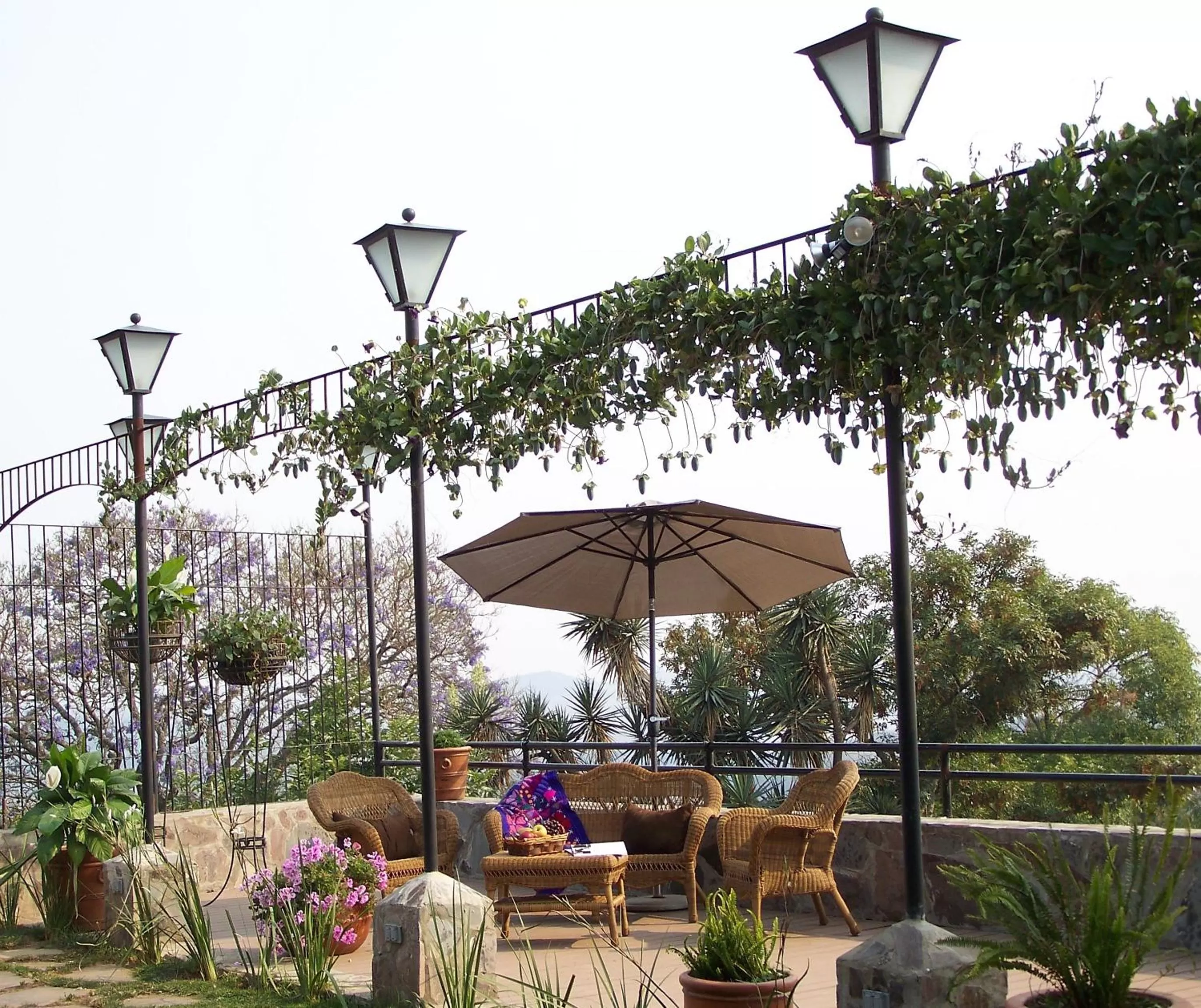 Balcony/Terrace, Restaurant/Places to Eat in Hotel Villa Cassis