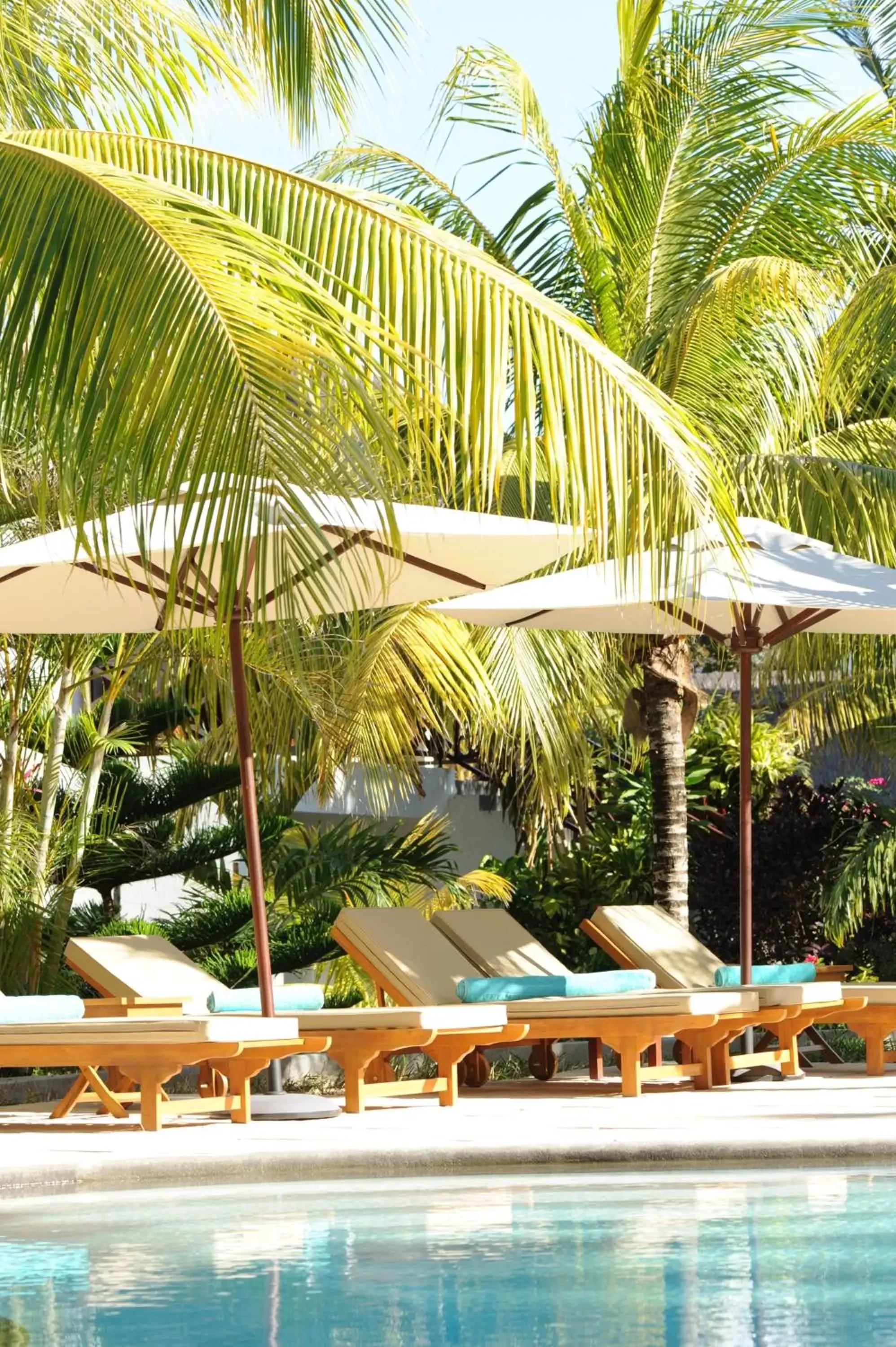 Pool view in Coin de Mire Attitude Pool view in Coin de Mire Attitude