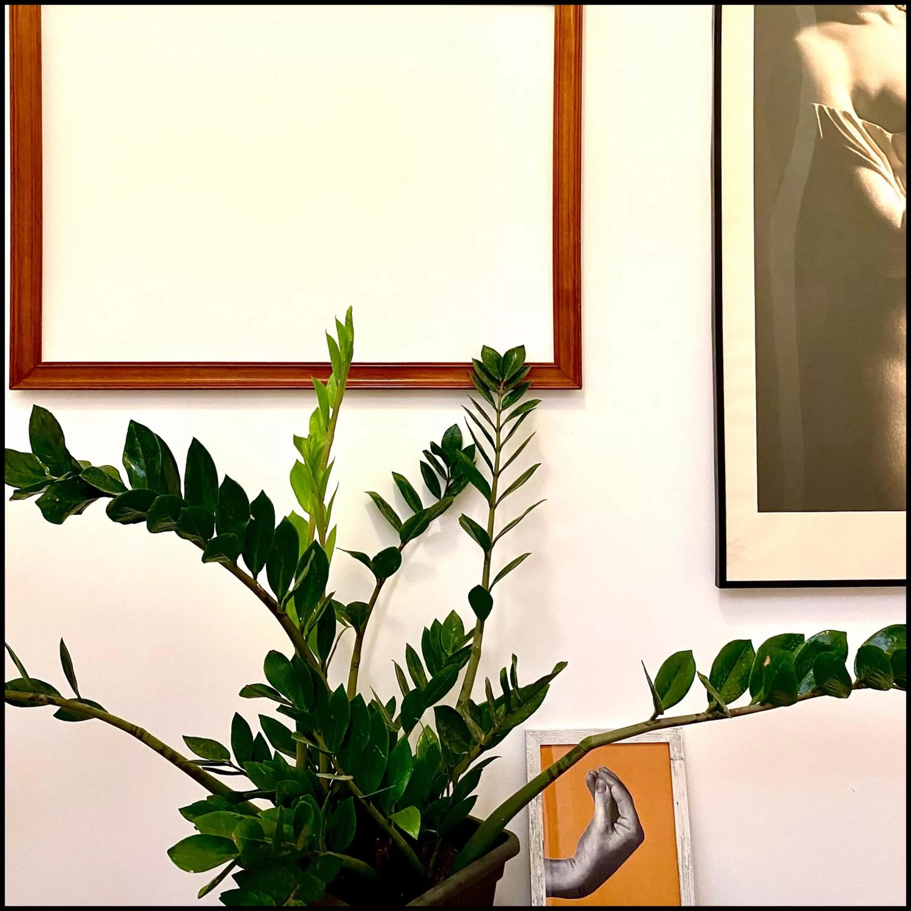 MONART HOSPITALITY Cavour