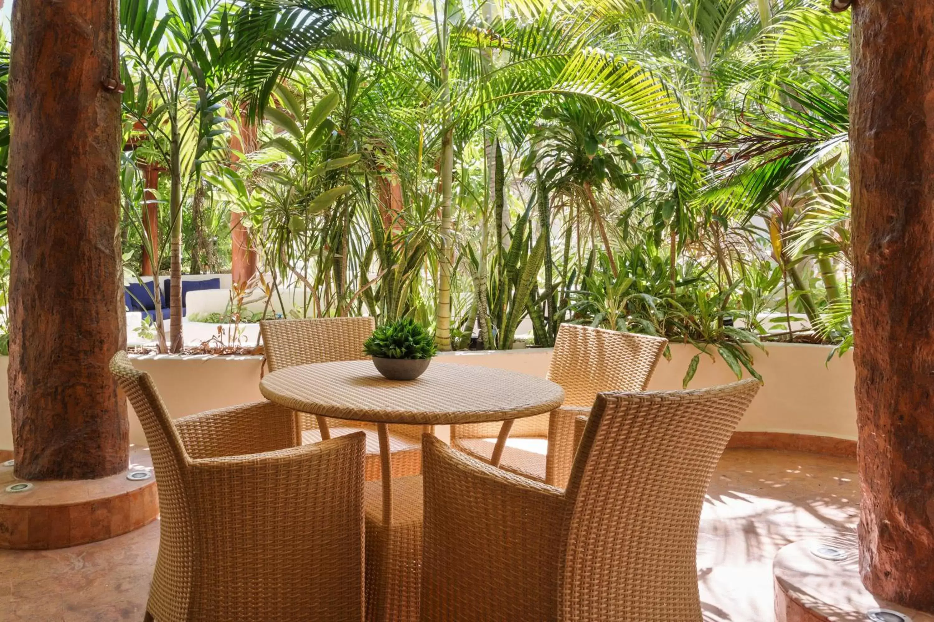 Patio in Porto Playa Condo Hotel and Beach Club