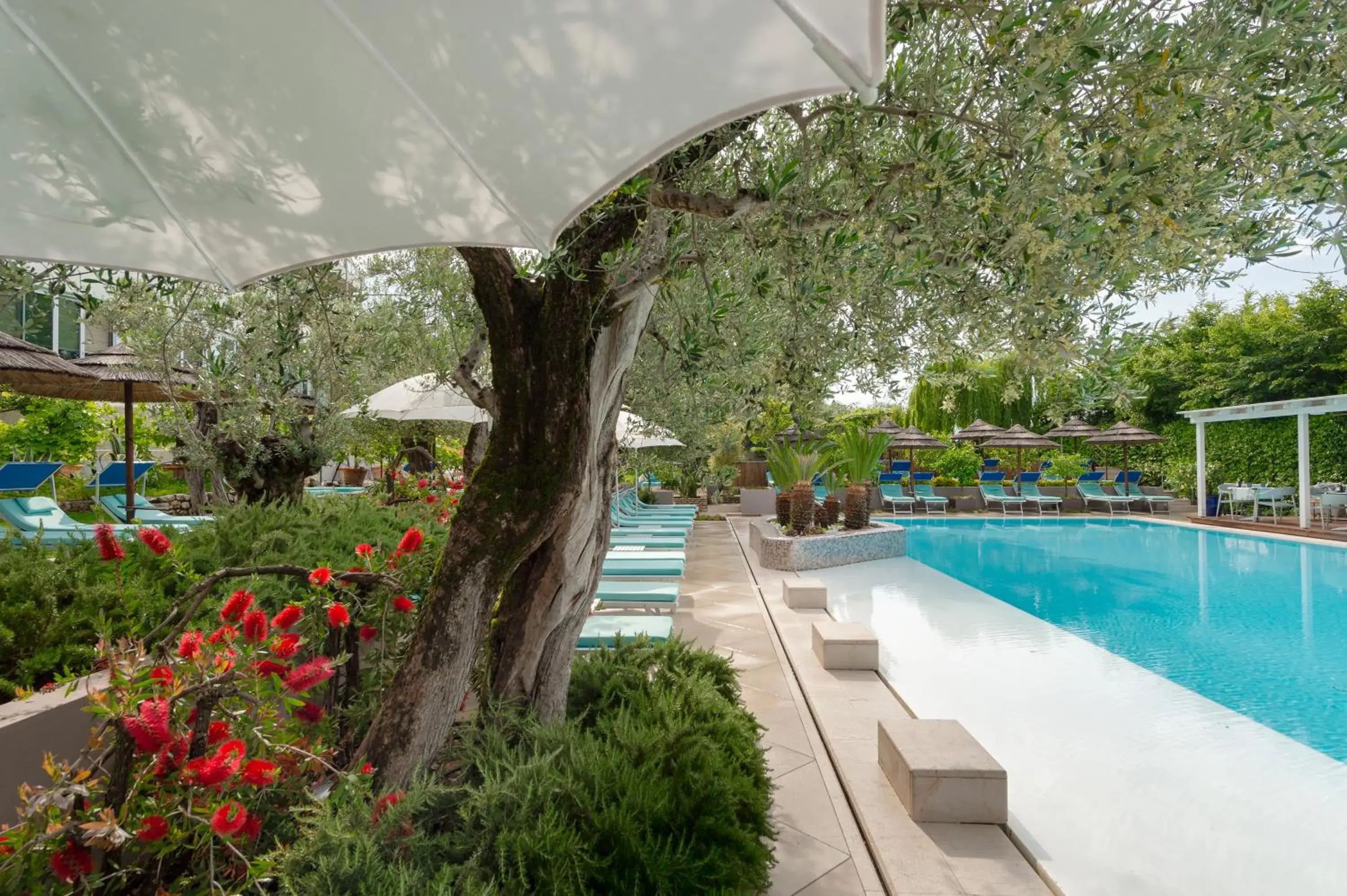 Garden view, Swimming Pool in Olivi Hotel & Natural Spa