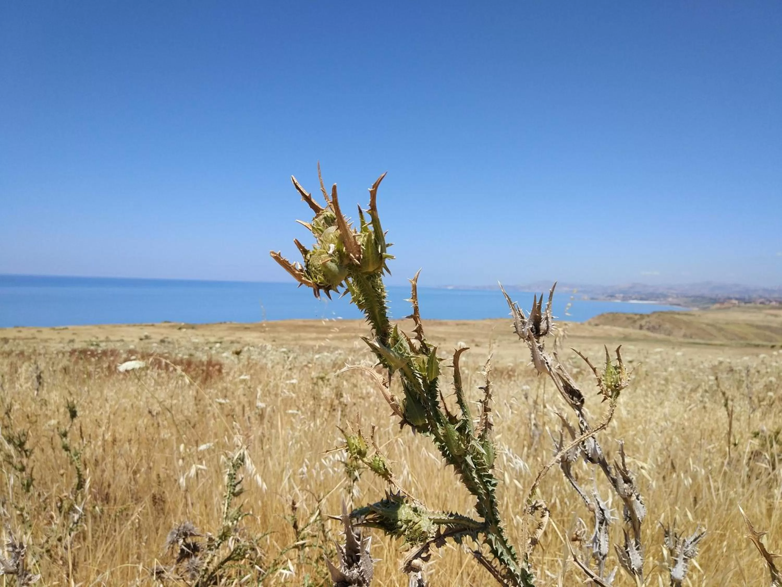 Natural landscape in BnB Sant'Alfonso