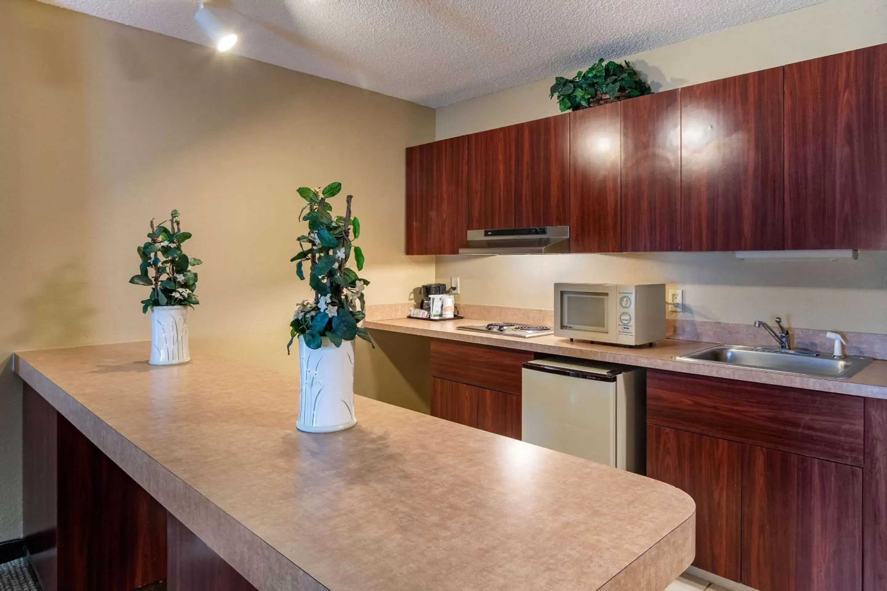 Photo of the whole room, Kitchen/Kitchenette in Comfort Inn and Suites