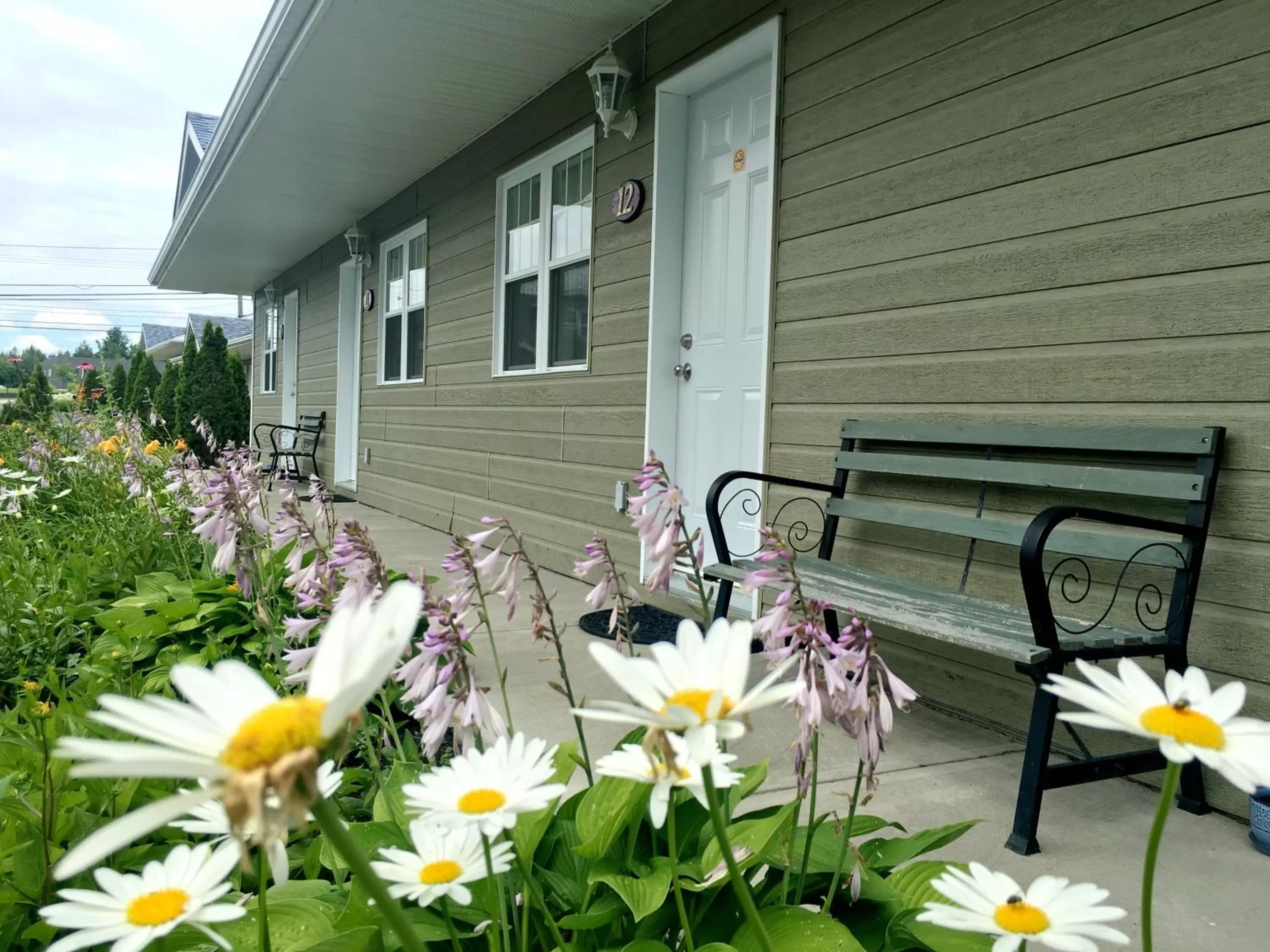 Property building in Motel des Cèdres