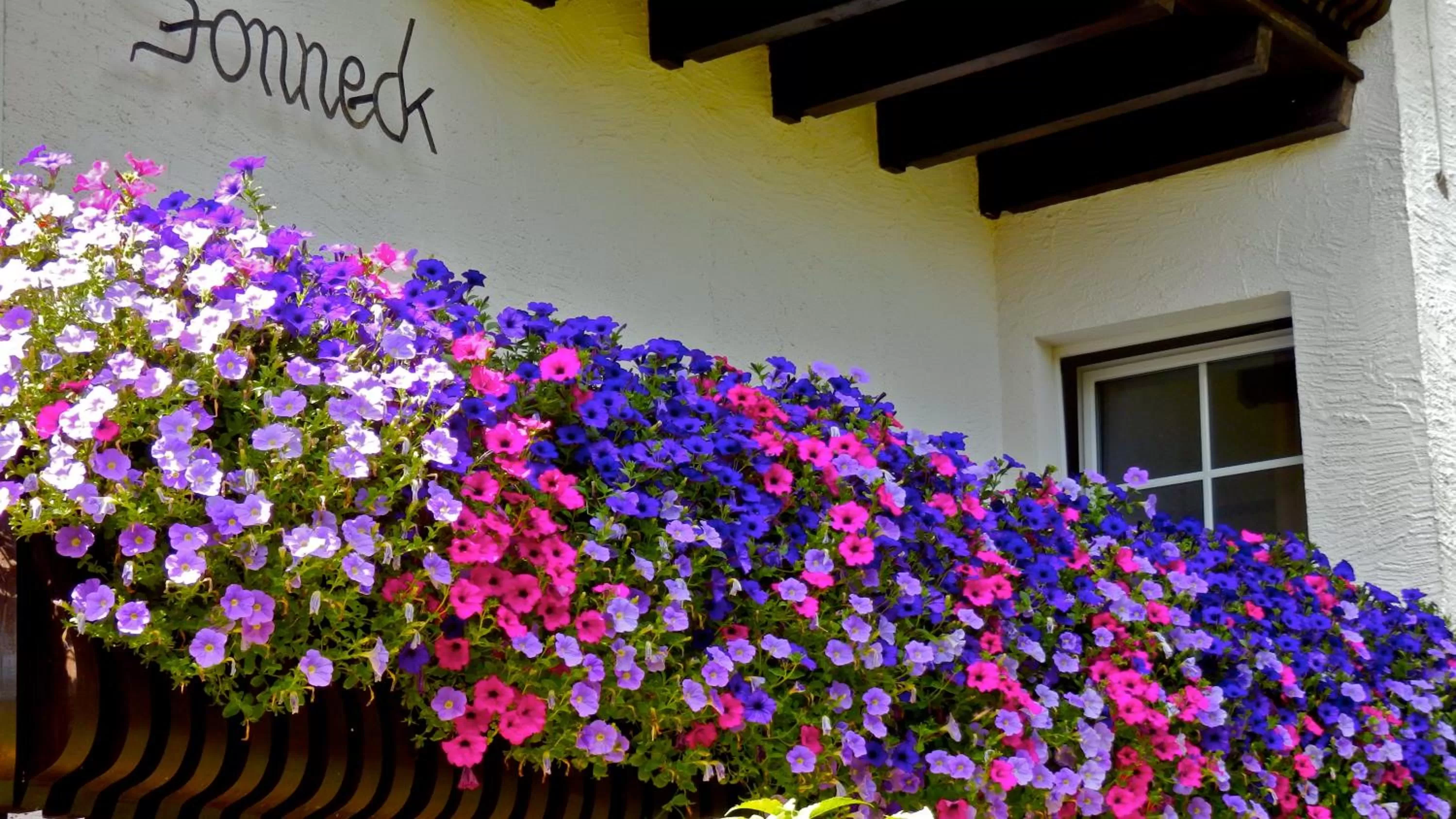 Facade/entrance in Haus Sonneck