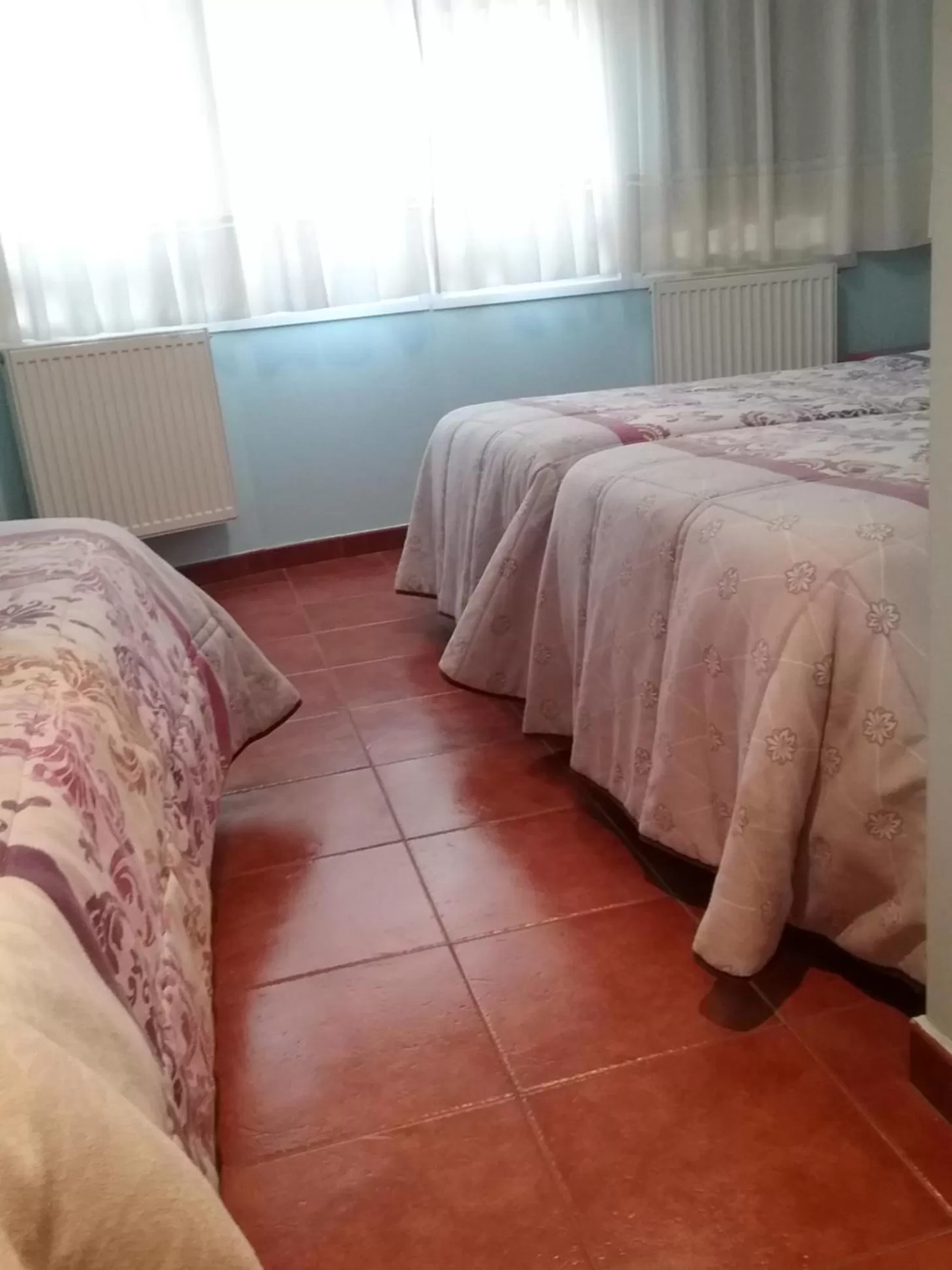 Bed in Hostal Campus