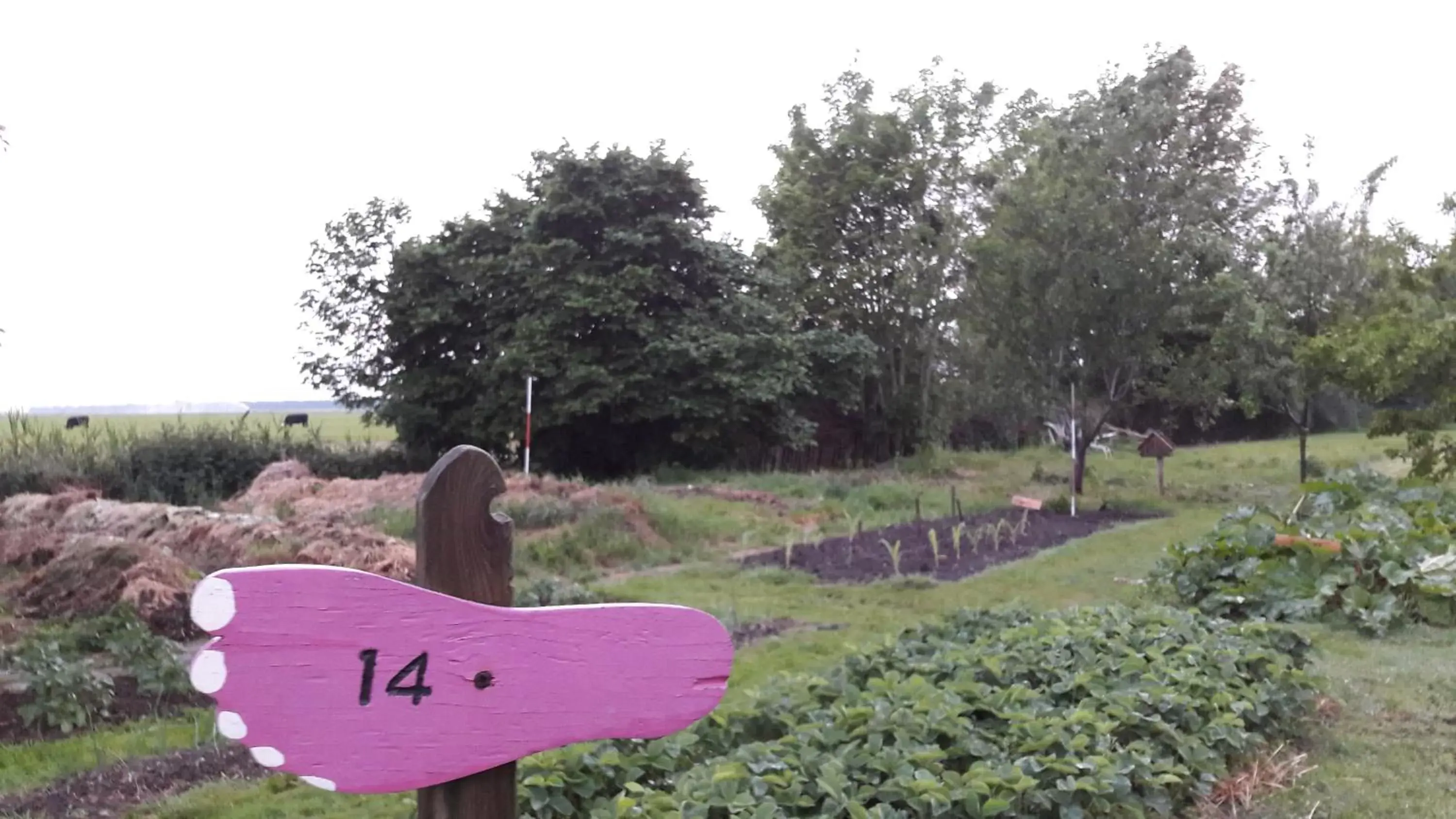 Garden in De Sternhof