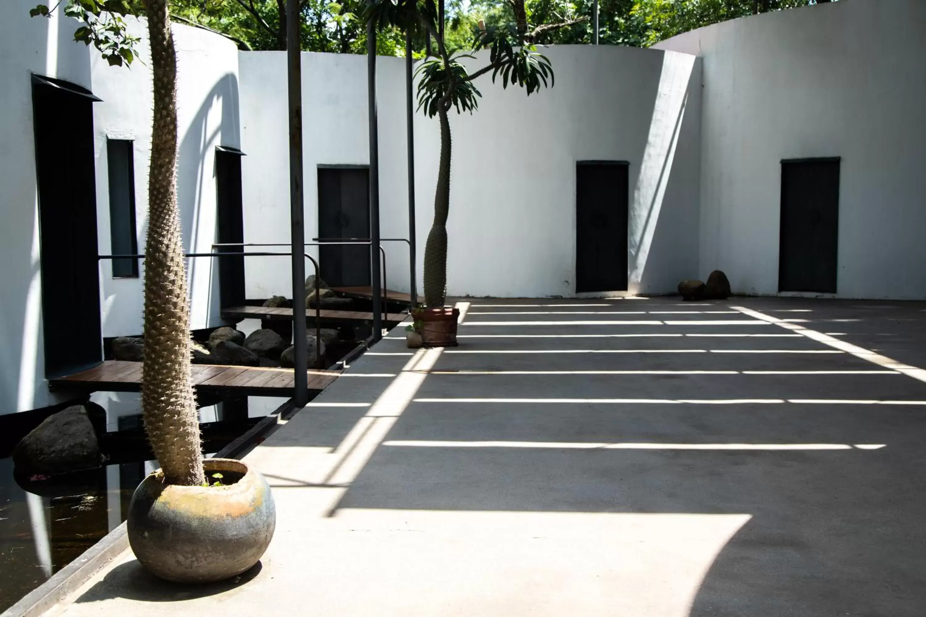 Spa and wellness centre/facilities in Hotel La Casa de los Árboles Immersive Experience