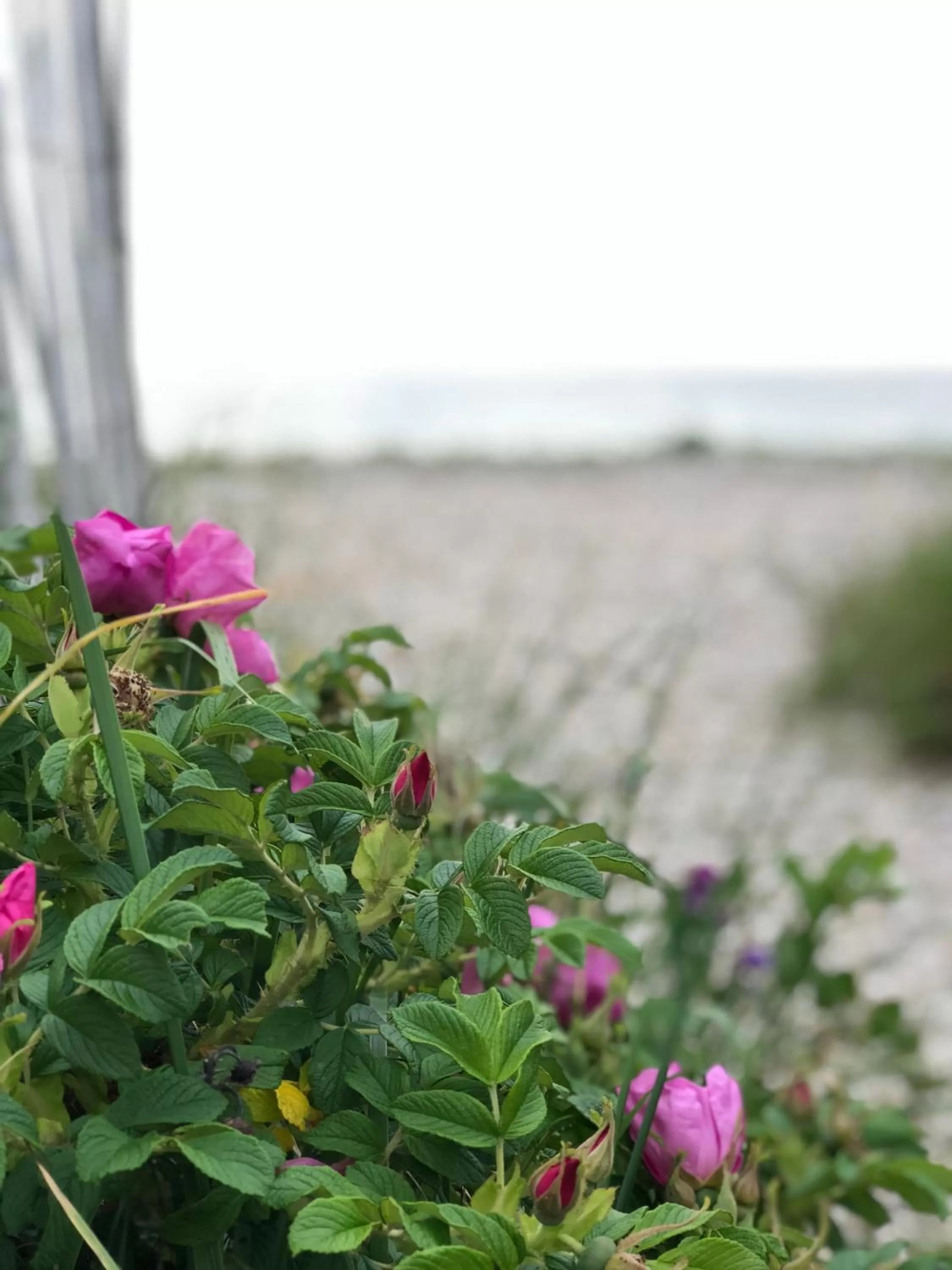 Off site in Frederick William House