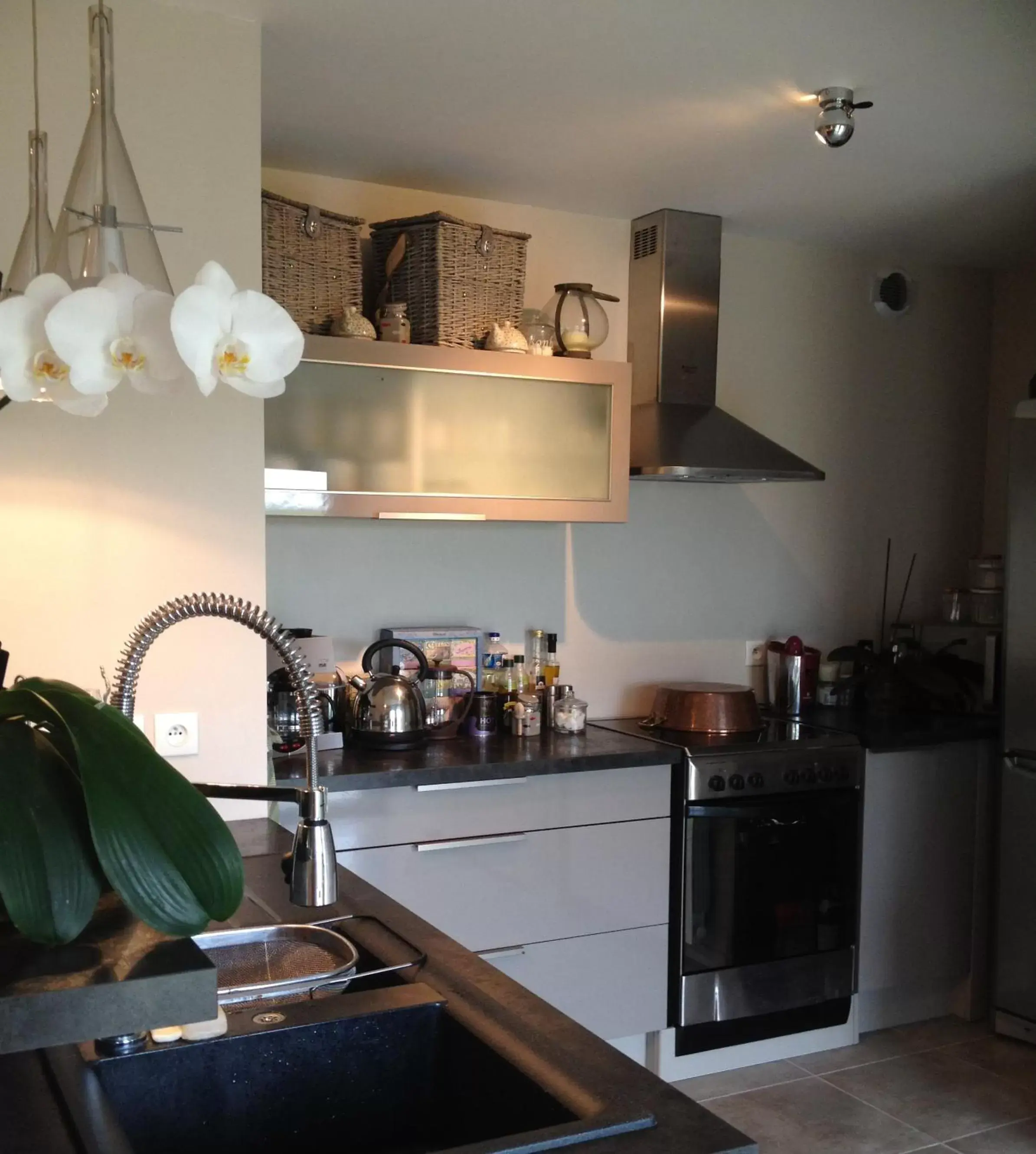 Communal kitchen, Kitchen/Kitchenette in Le Clos Pen Kear