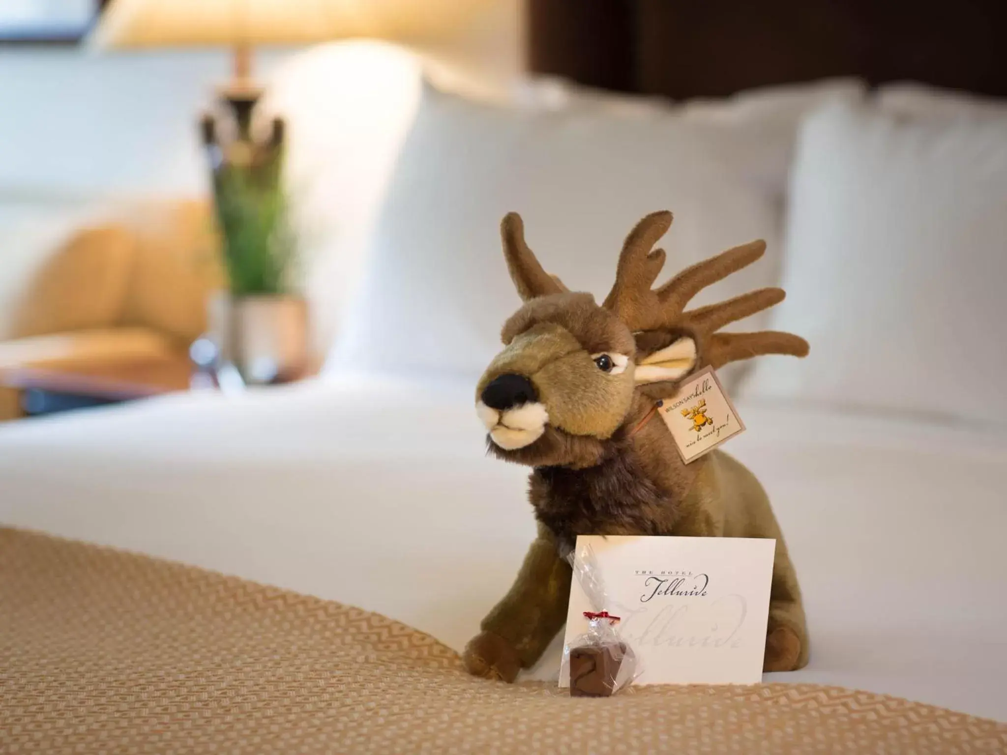 Decorative detail, Bed in The Hotel Telluride Decorative detail, Bed in The Hotel Telluride