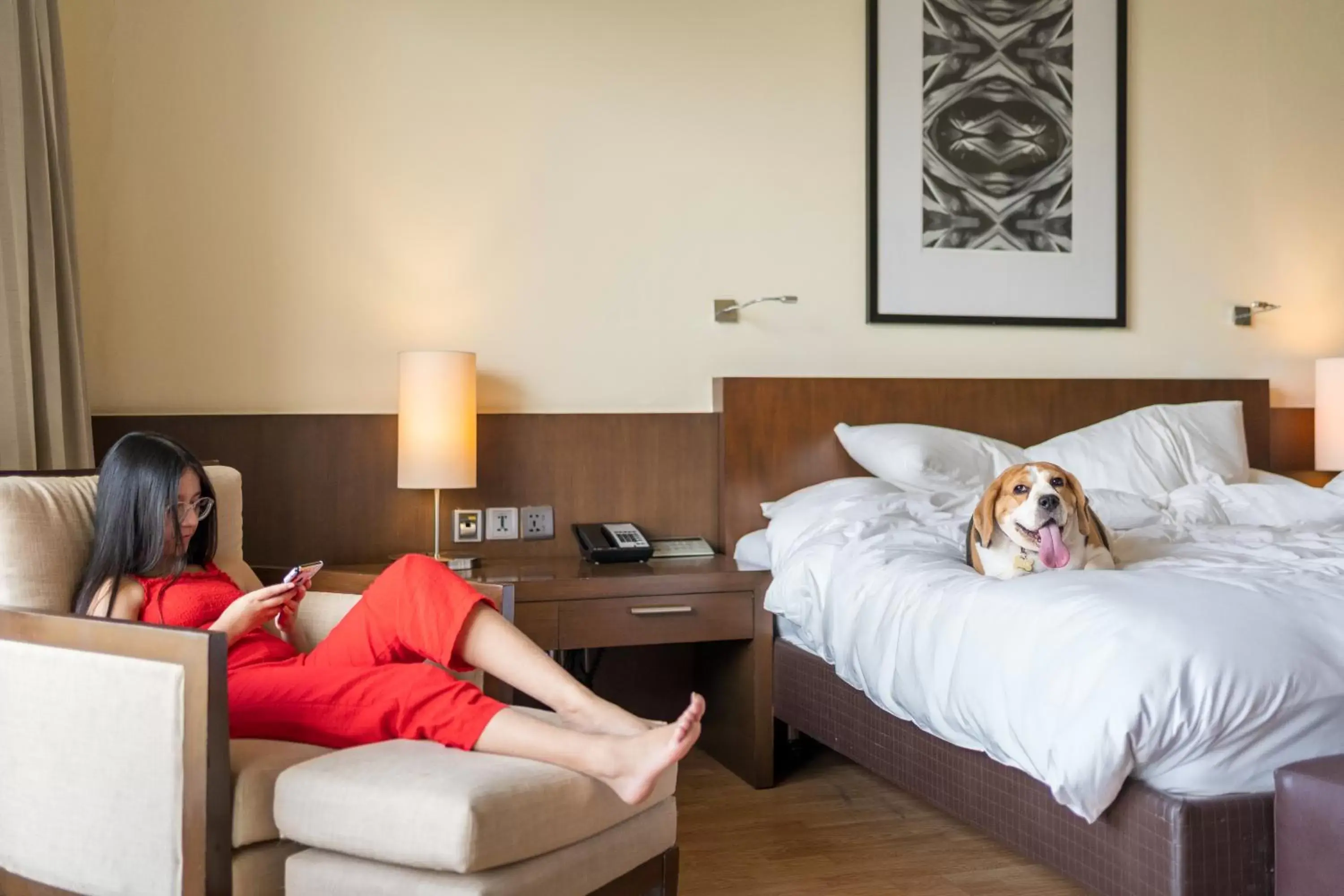 Pets in Hyatt Hyderabad Gachibowli