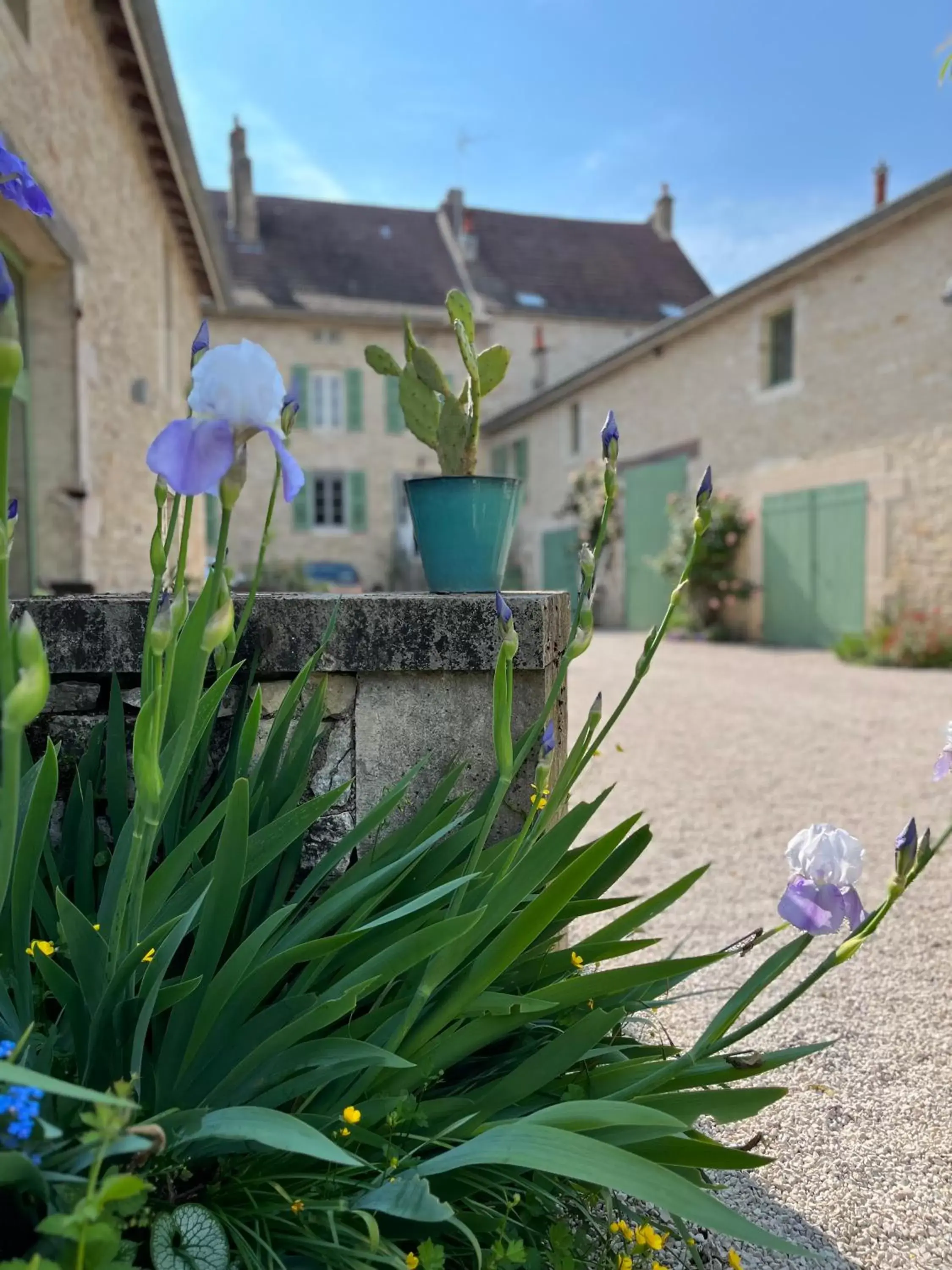 Property Building in Maison Tassigny