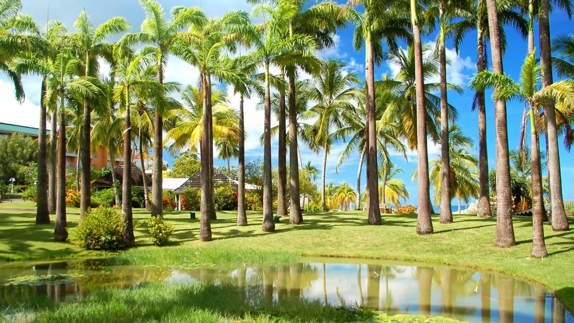 Garden view in Hotel Bakoua Martinique