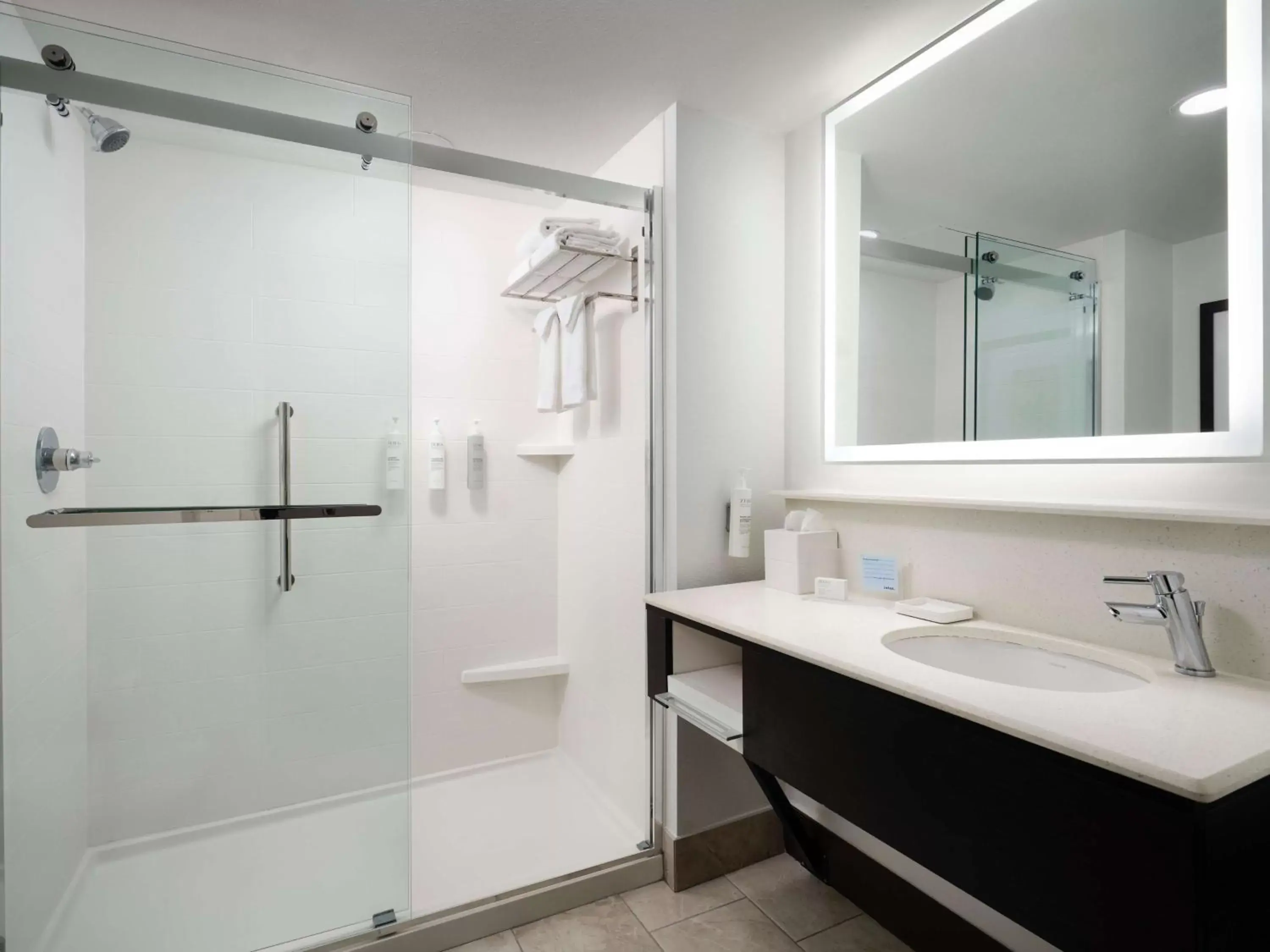 Bathroom in Hampton Inn & Suites Austin-Downtown/Convention Center