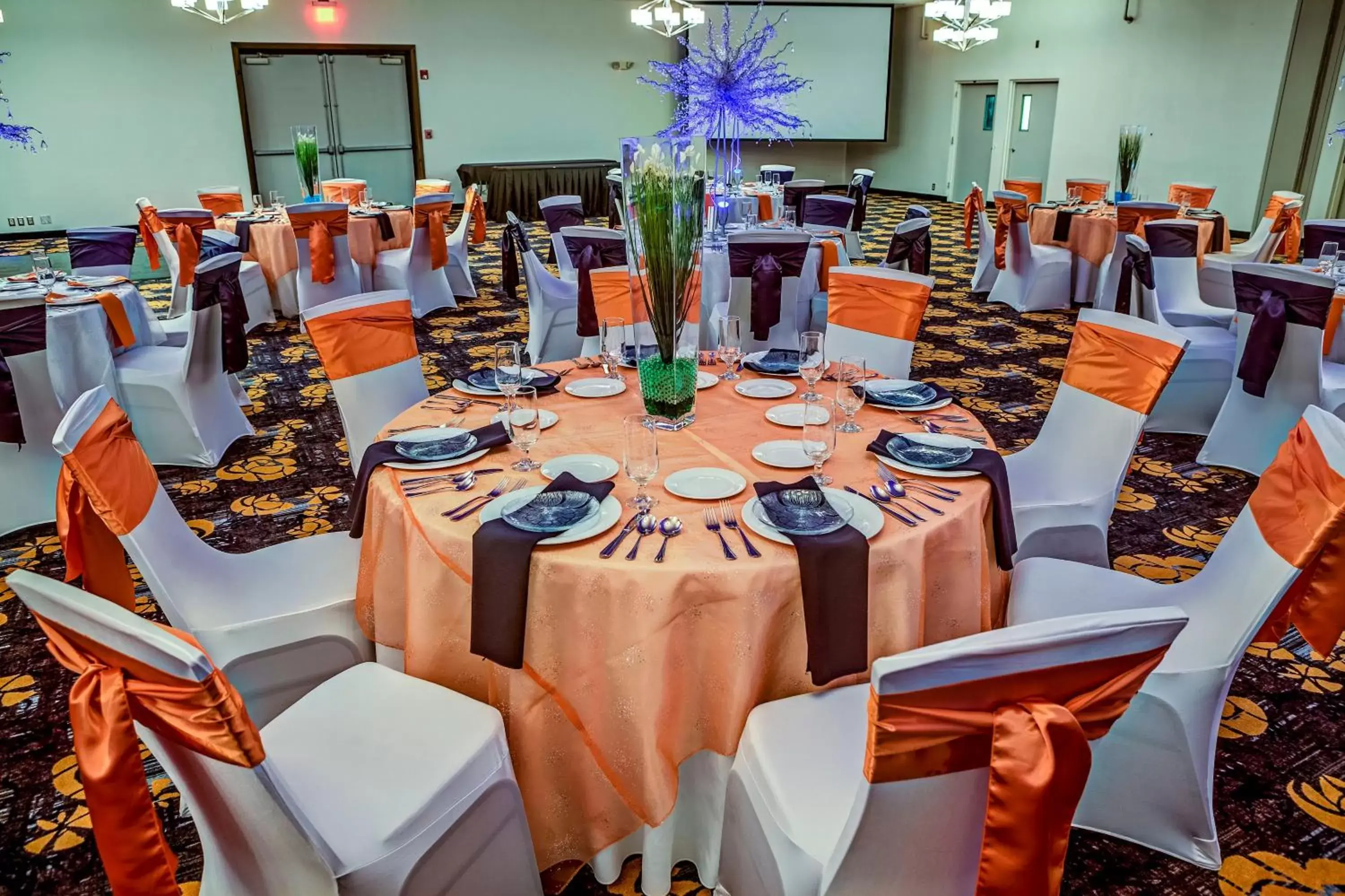 Banquet/Function facilities, Banquet Facilities in Holiday Inn Cleveland Northeast - Mentor, an IHG Hotel