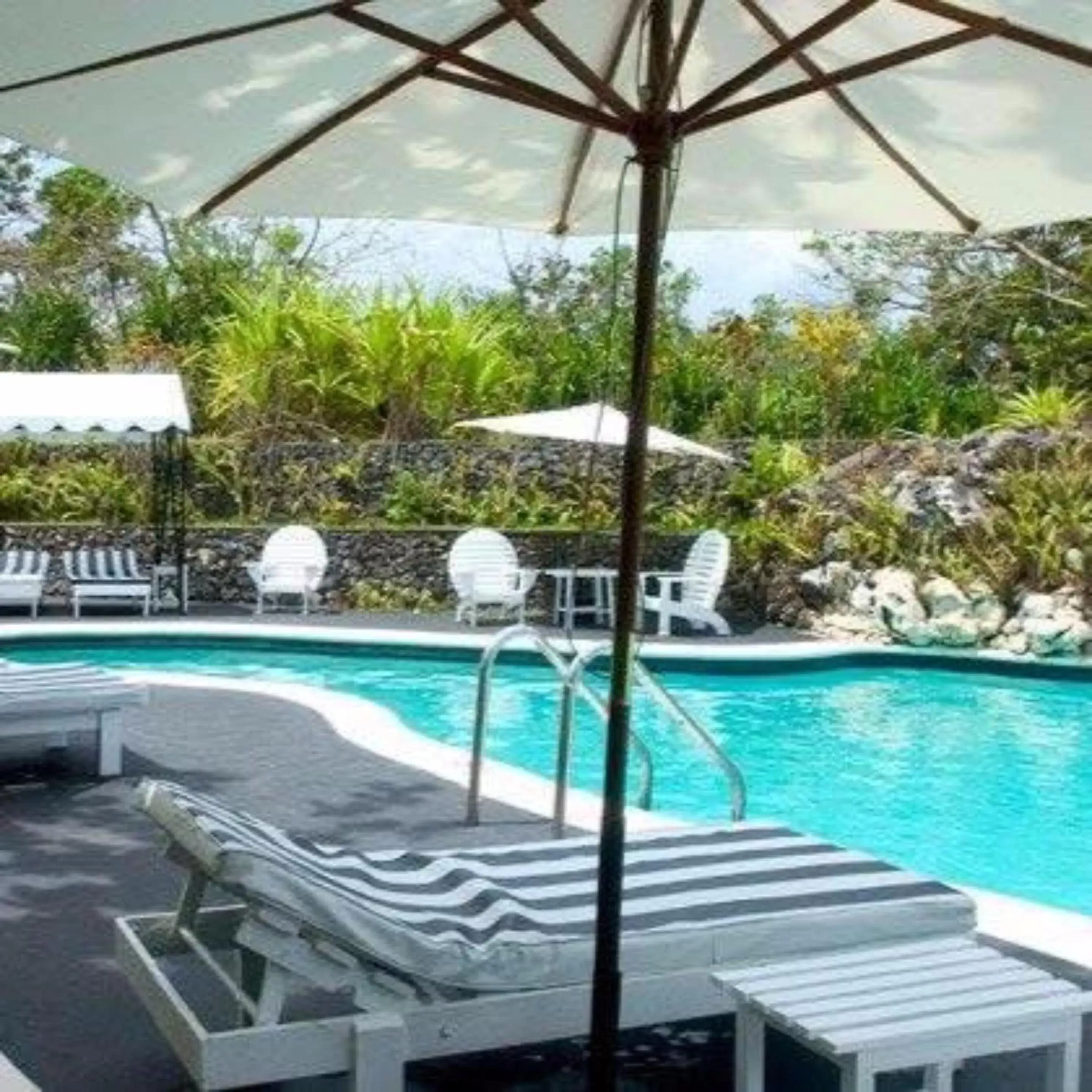 Swimming Pool in Jamaica Palace Hotel