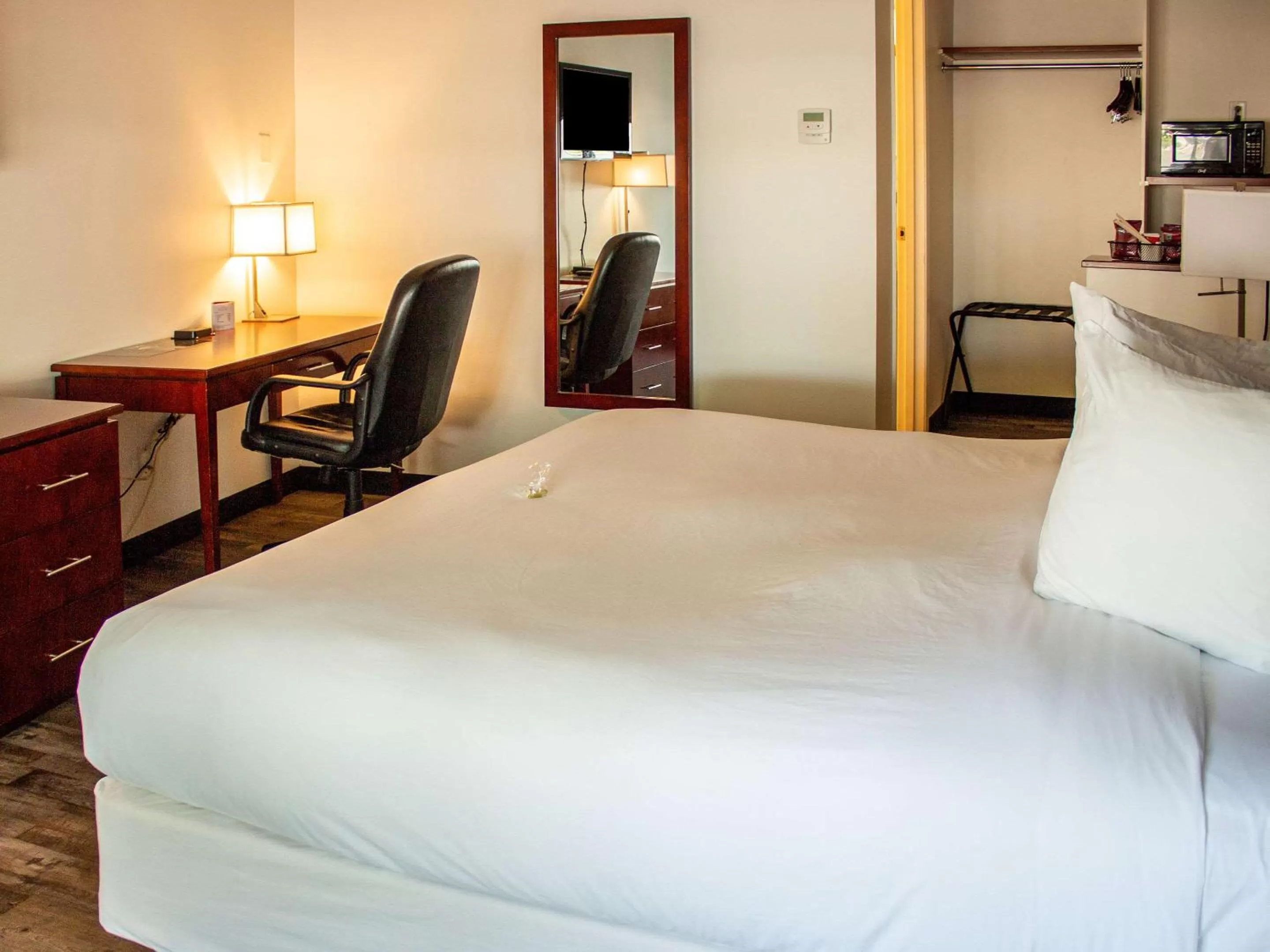 Photo of the whole room, Bed in Hotel Penticton, Ascend Hotel Collection