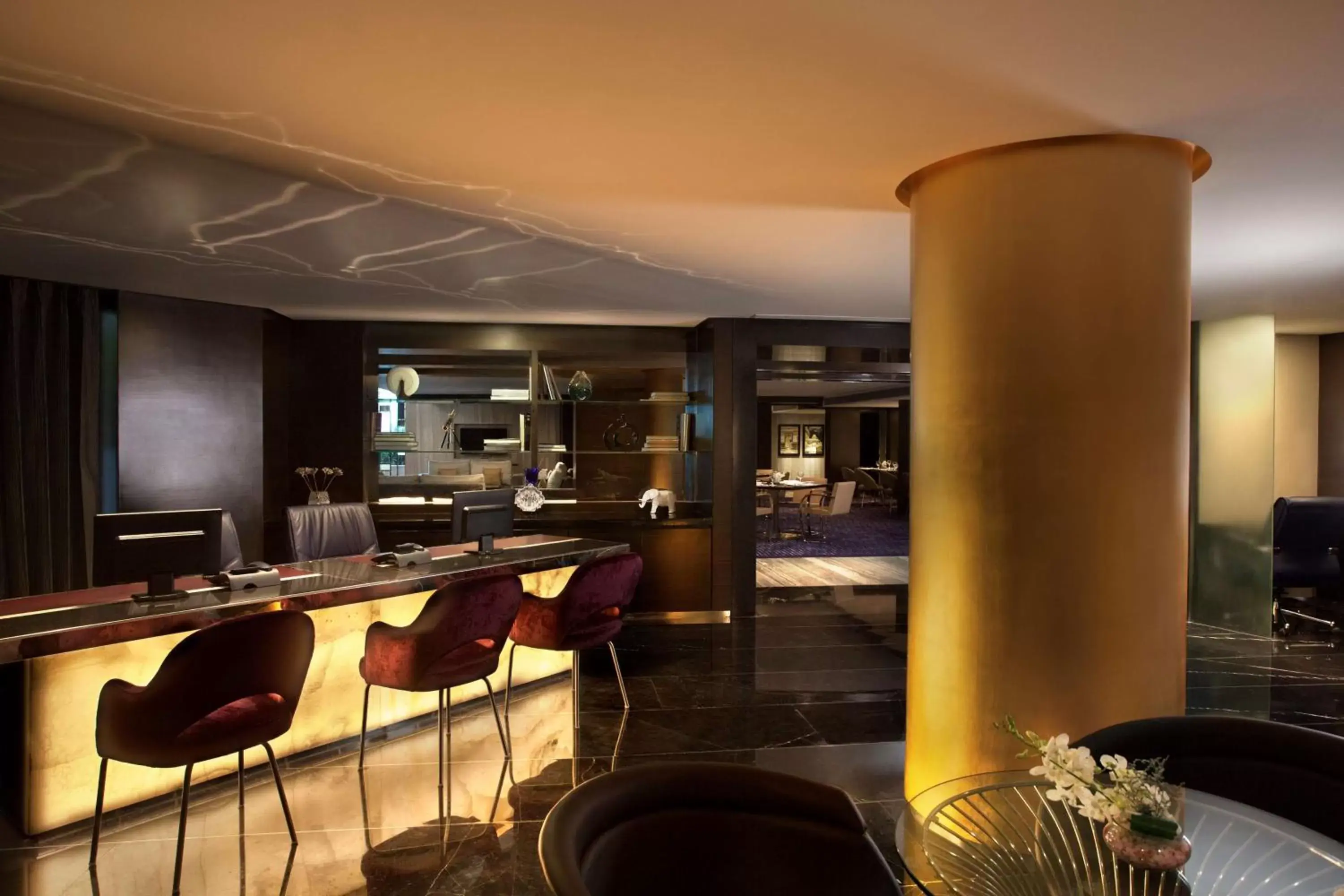 Lounge or bar, Restaurant/Places to Eat in Radisson Blu Plaza Delhi Airport