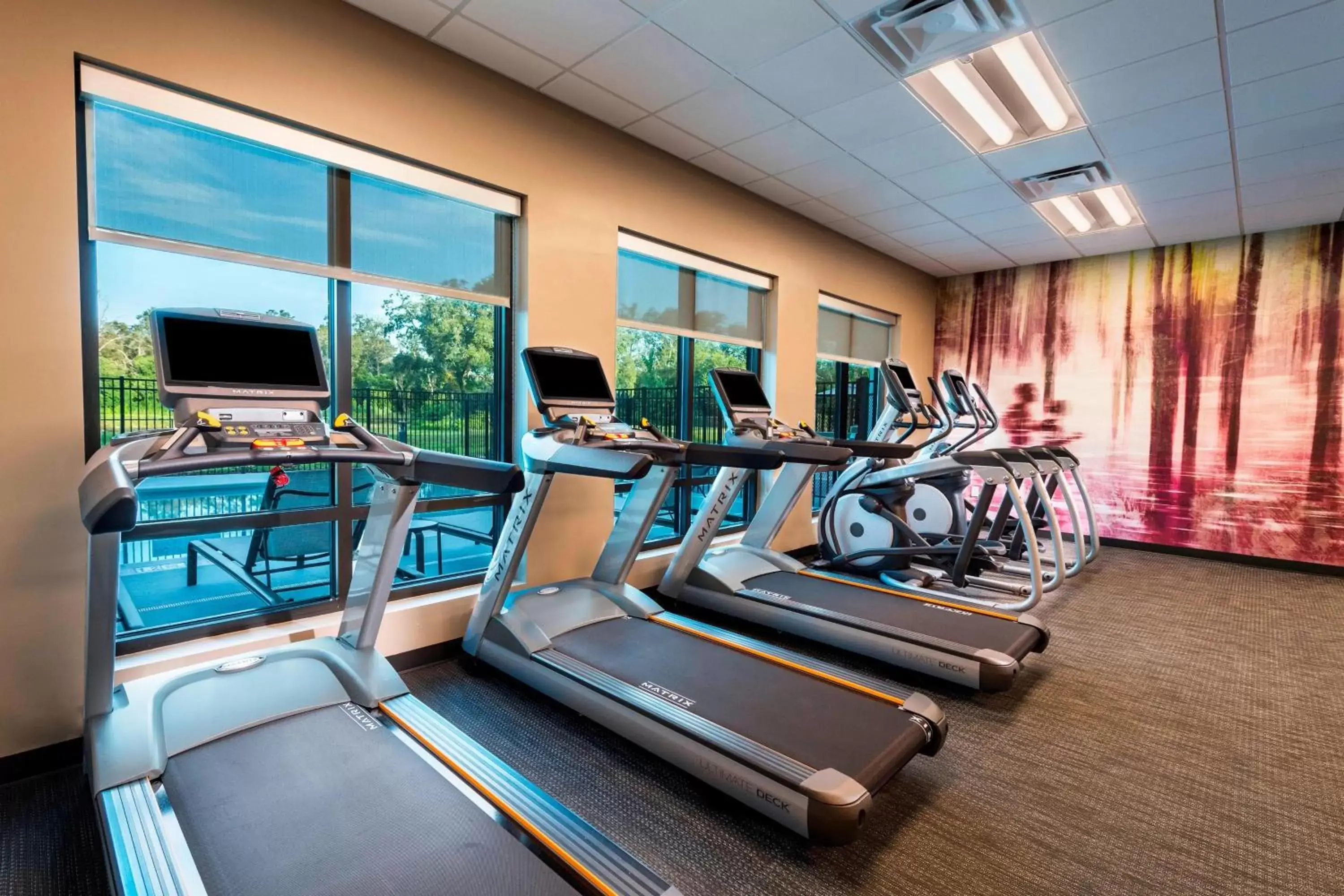 Fitness centre/facilities, Fitness Center/Facilities in Courtyard by Marriott Tampa Northwest/Veterans Expressway