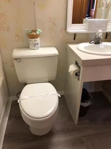 Bathroom in Captain's Choice Motel