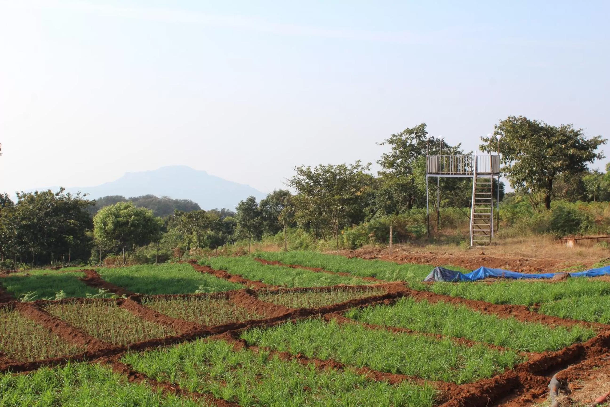 View (from property/room) in Ashoka Villa 3 BHK Mahabaleshwar