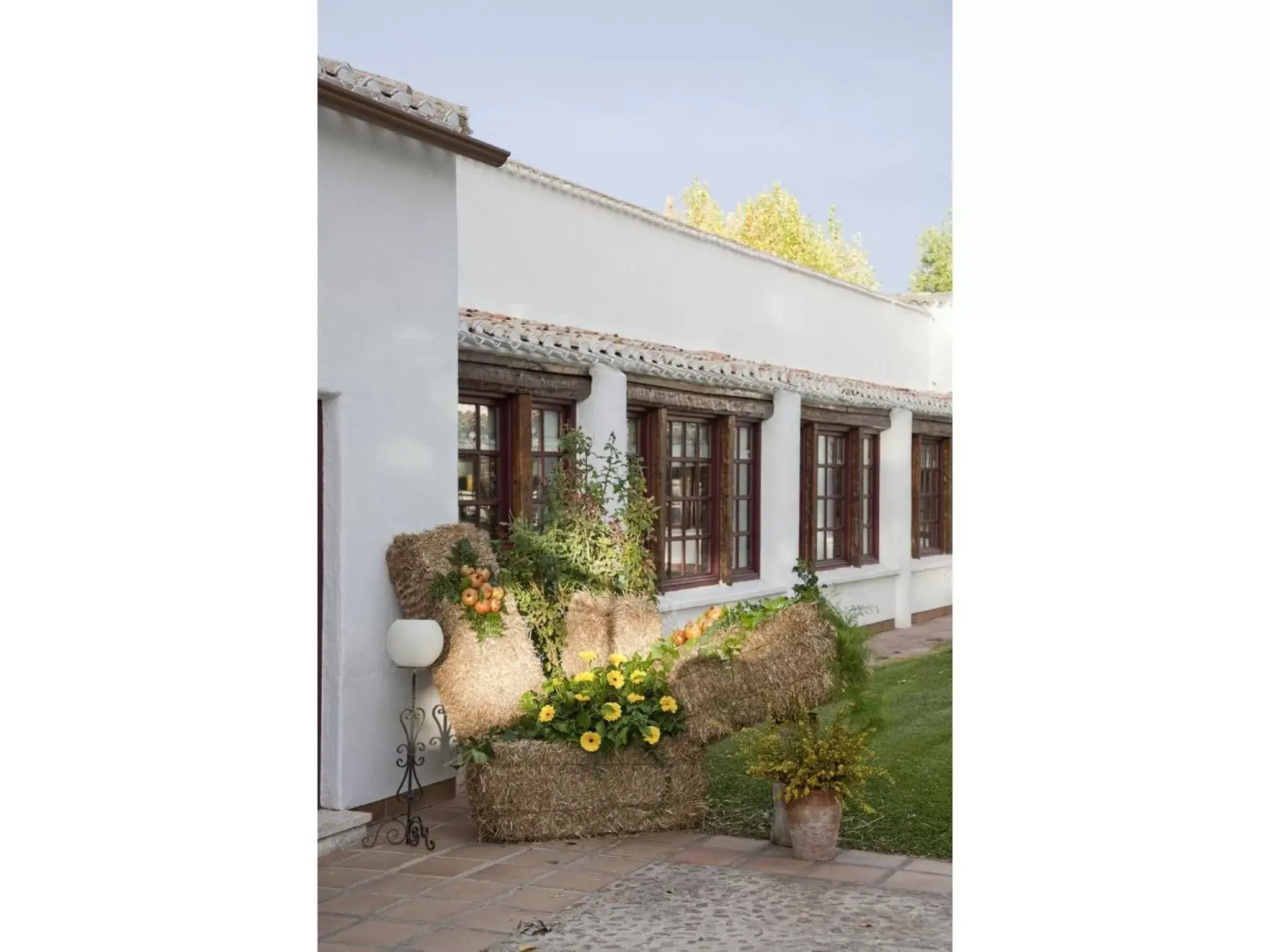 Garden, Property Building in Parador de Albacete