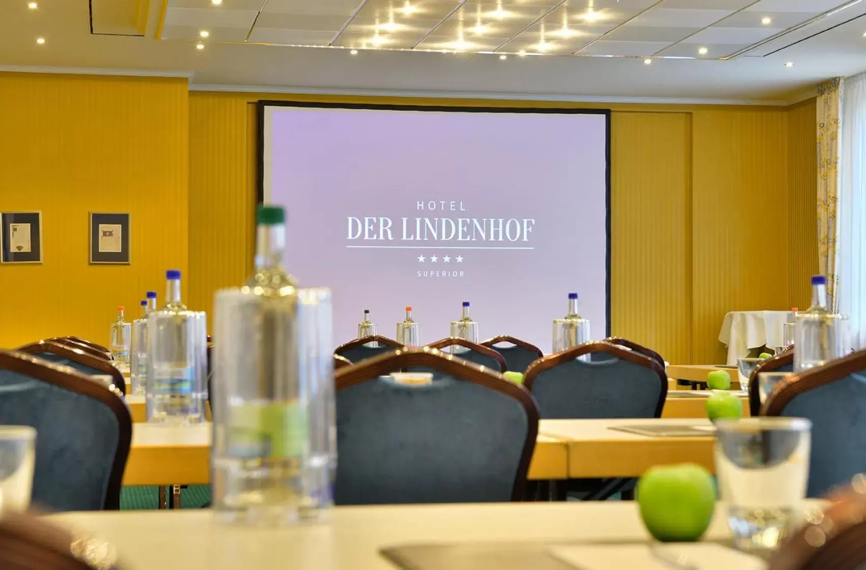 Meeting/conference room in Hotel Der Lindenhof