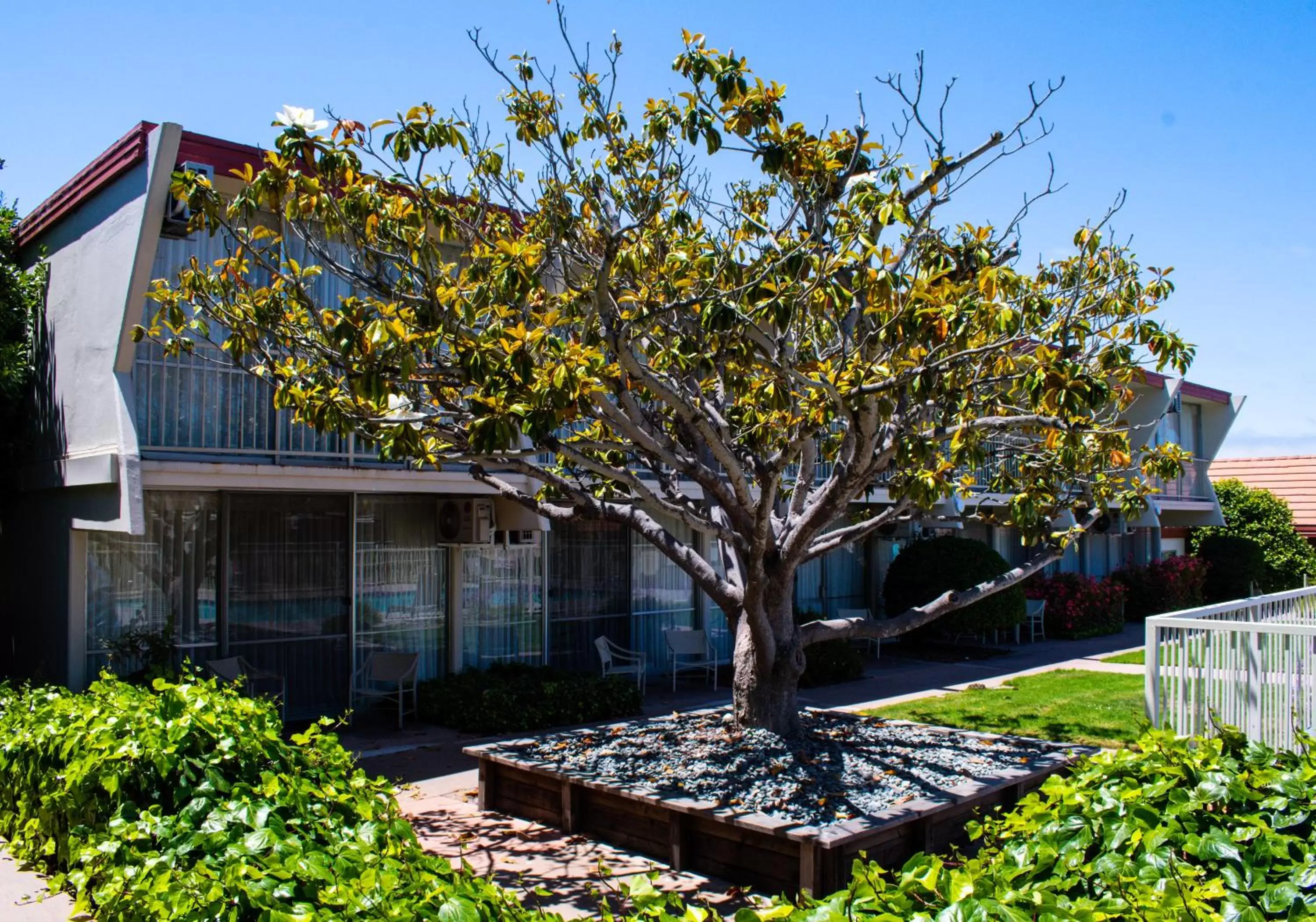 Garden view, Property Building in Travelodge by Wyndham Monterey Bay