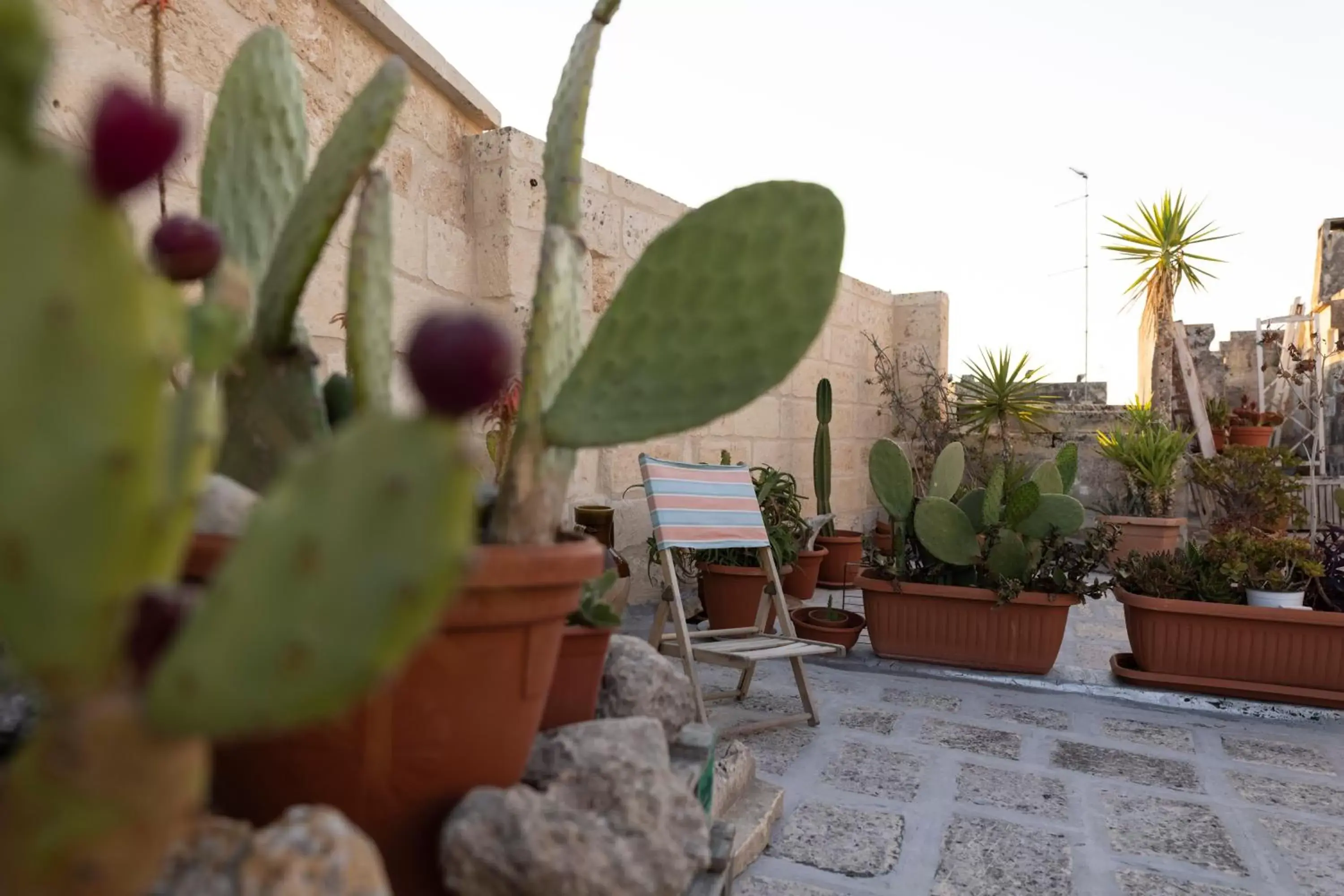 Garden view in Antica Dimora dei Nonni