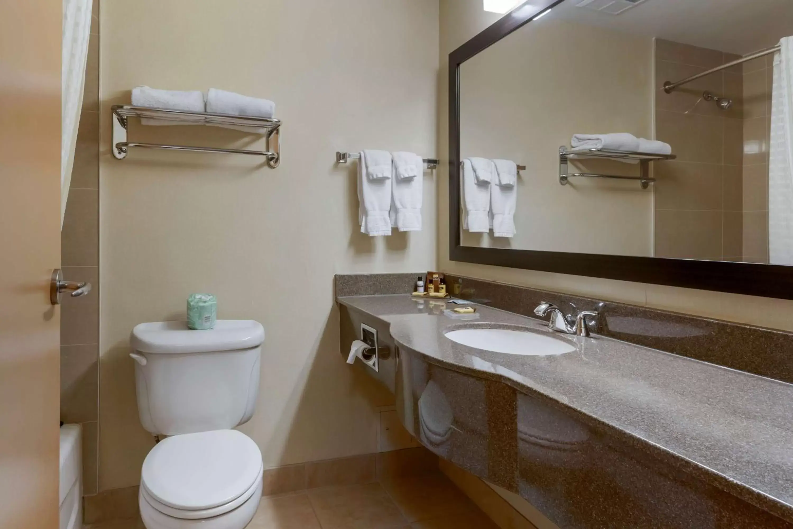 Bathroom in Best Western Plus Burlington Inn & Suites