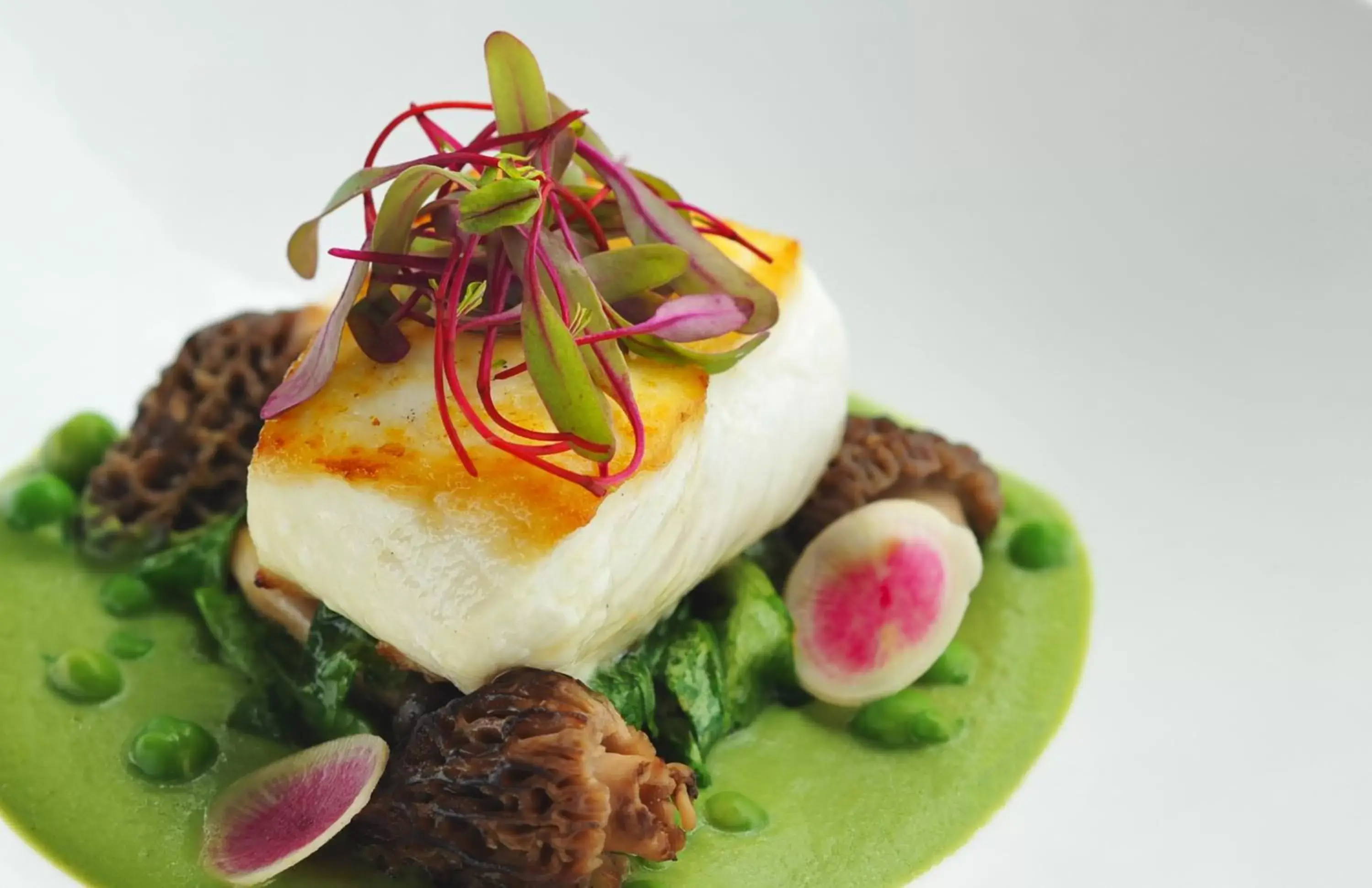 Restaurant/places to eat in Tower 23 Hotel Restaurant/places to eat in Tower 23 Hotel