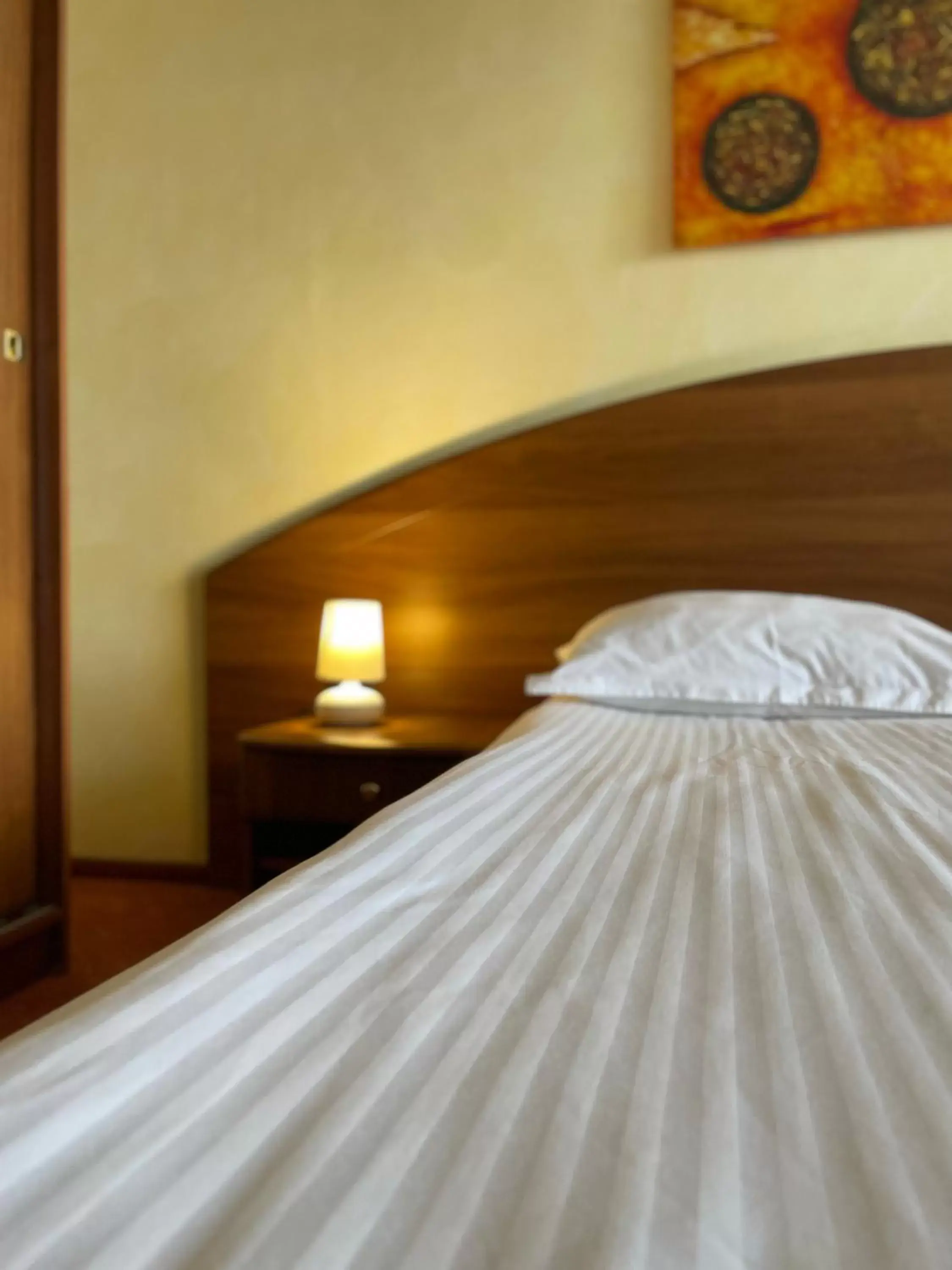 Budget Double or Twin Room in Hotel FAN Sebes Budget Double or Twin Room in Hotel FAN Sebes