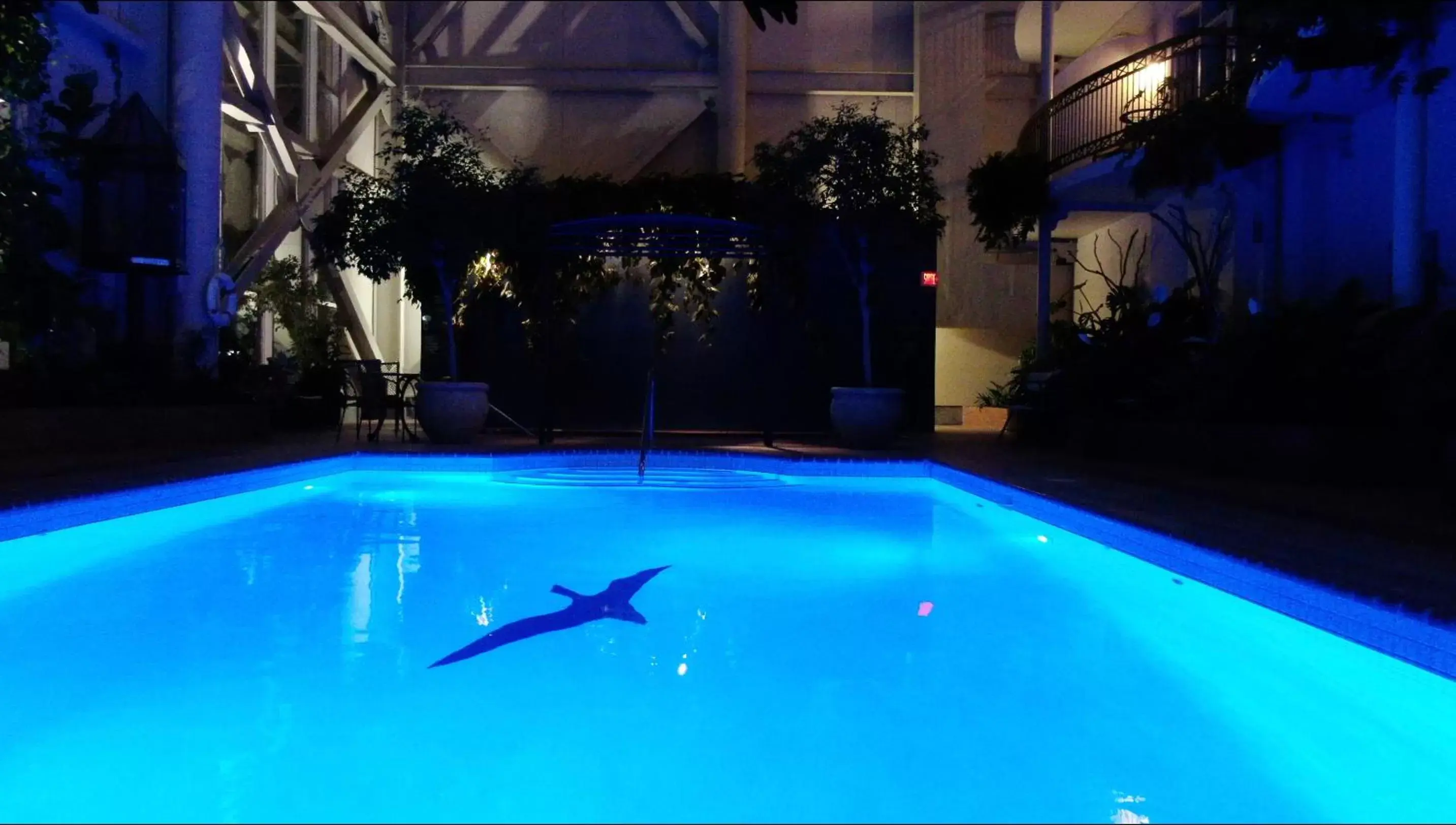 Night, Swimming Pool in Hotel L'Oie des neiges