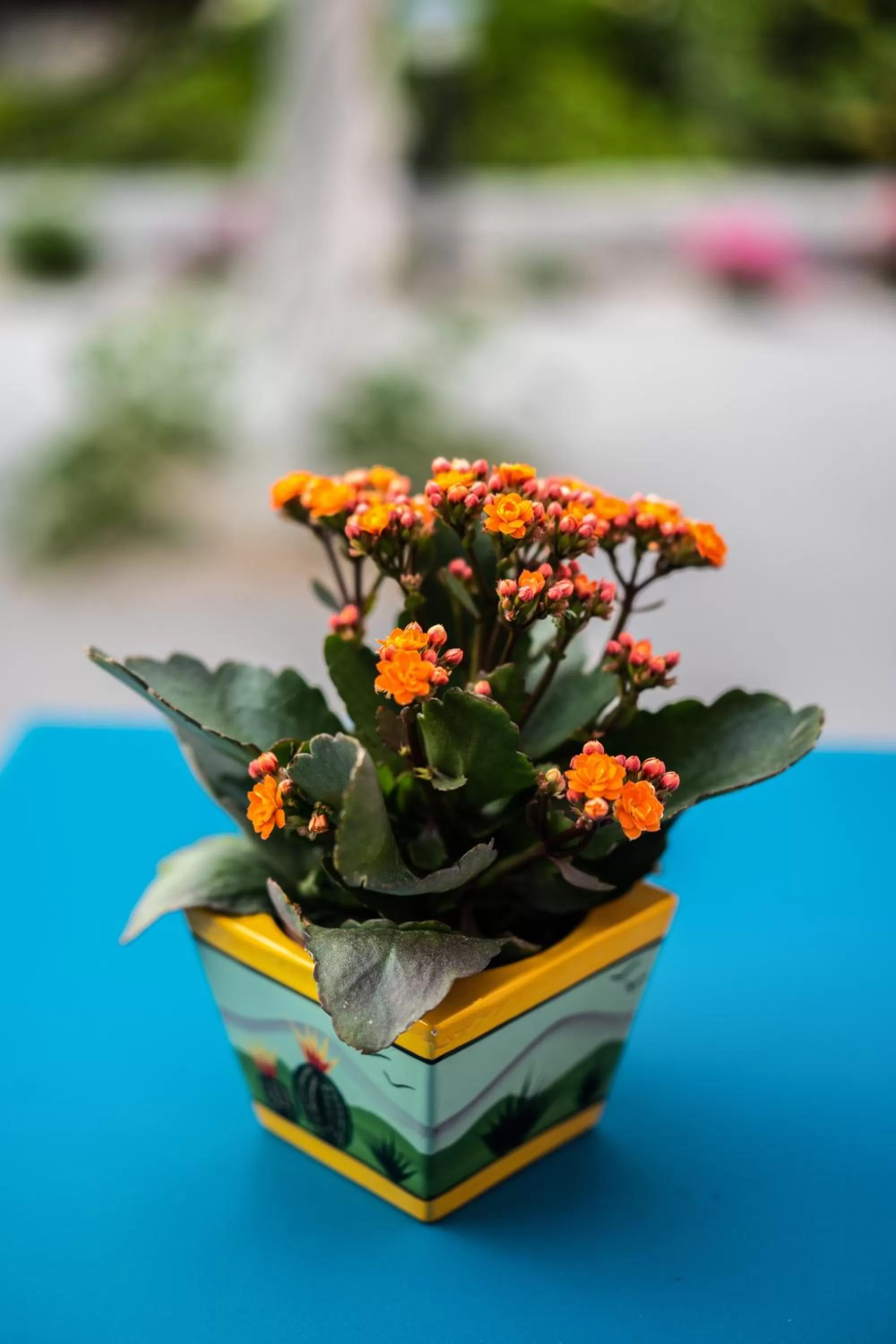 Aethra Boutique Rooms