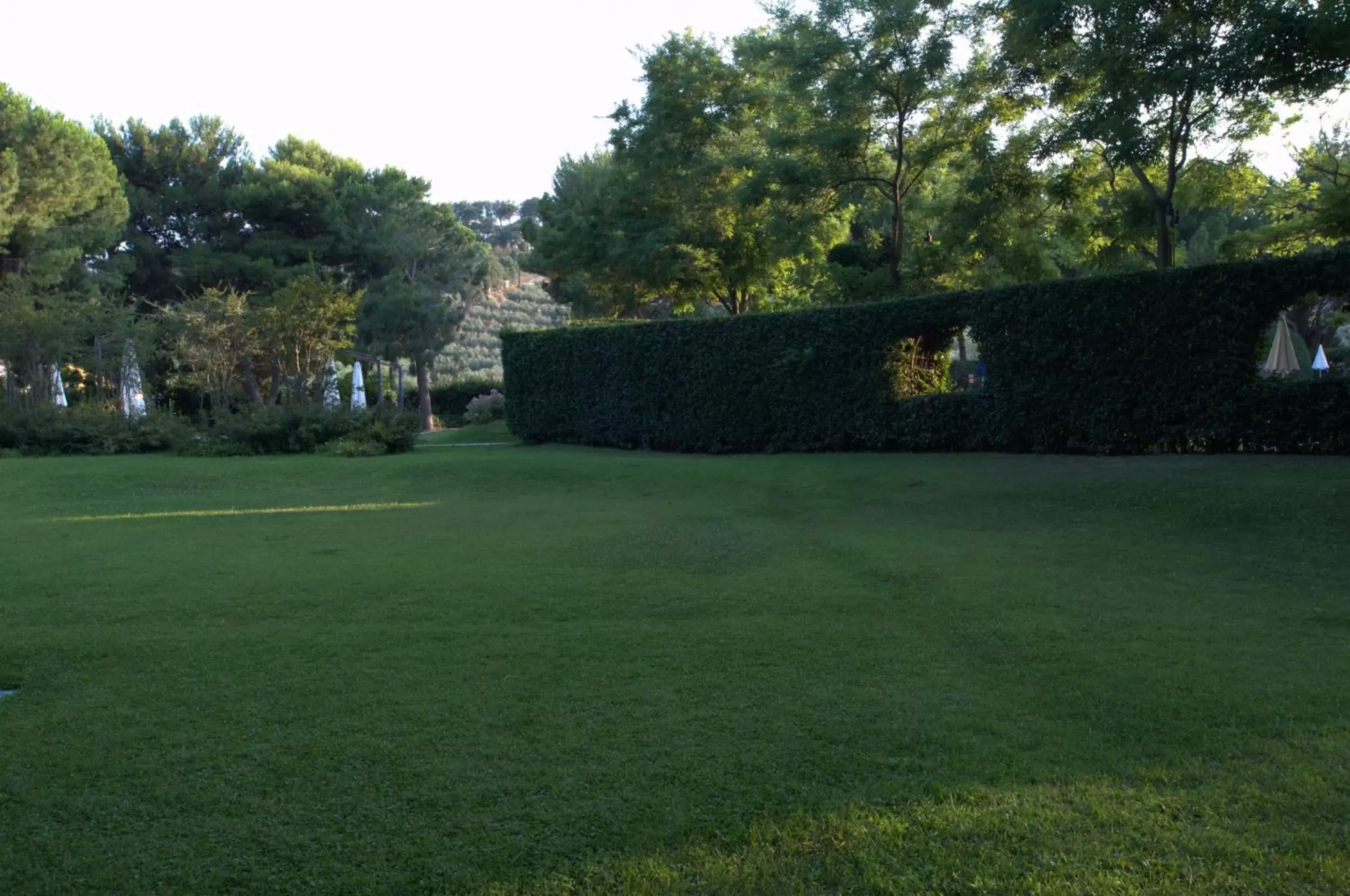 Garden in Villa Maria Hotel & SPA