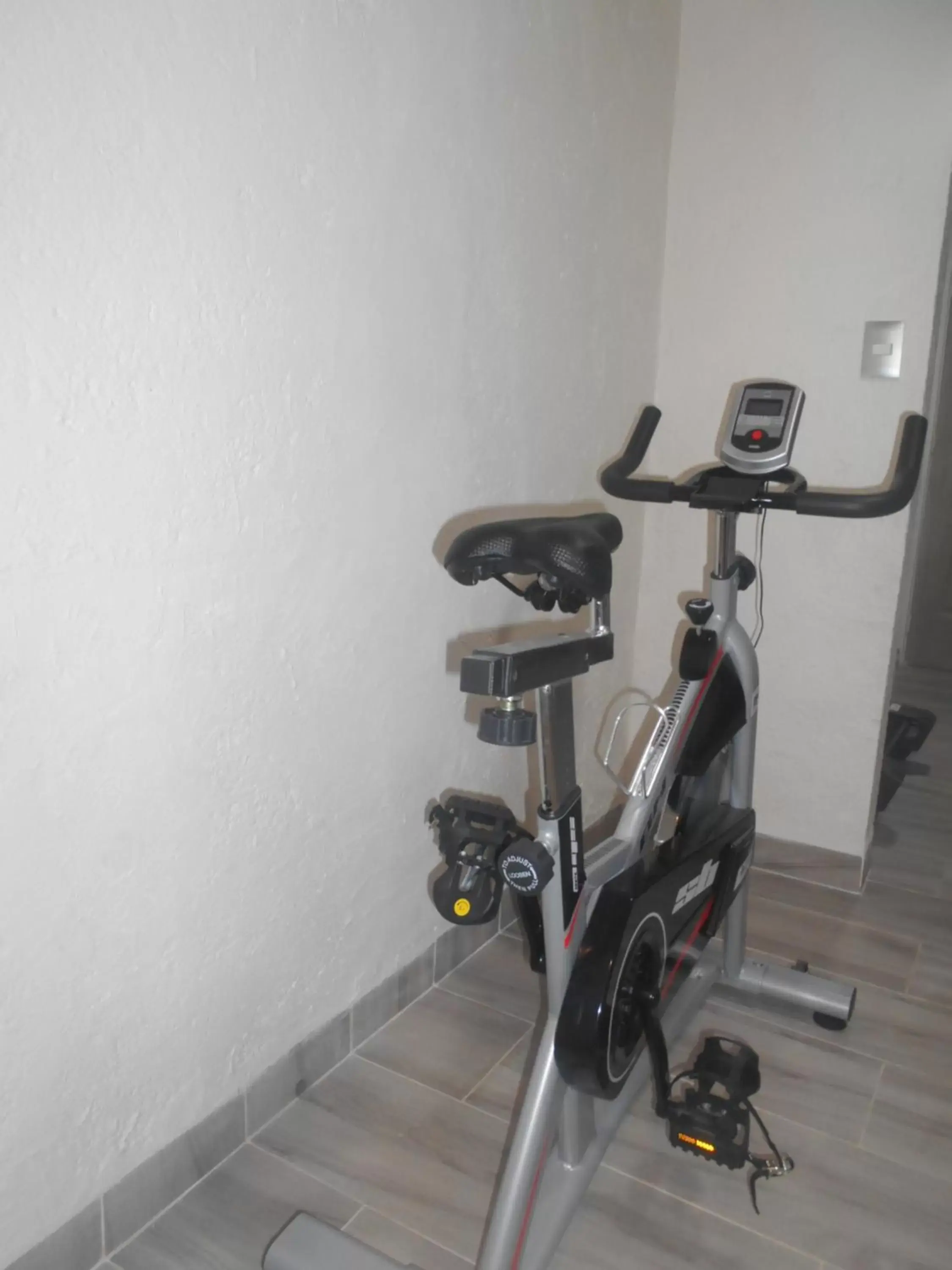 Fitness centre/facilities, Fitness Center/Facilities in Hotel Puente Real